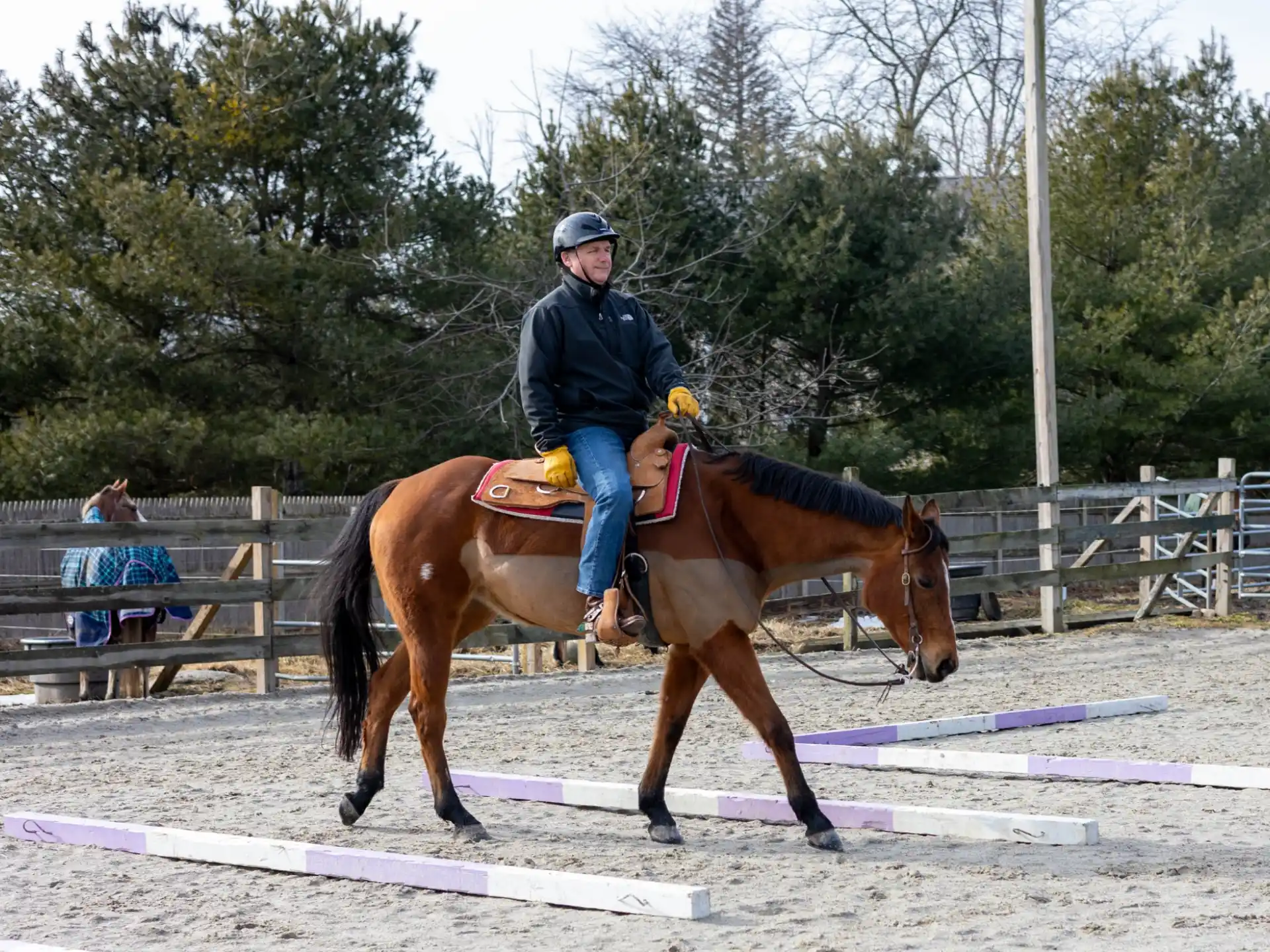 a person riding a horse