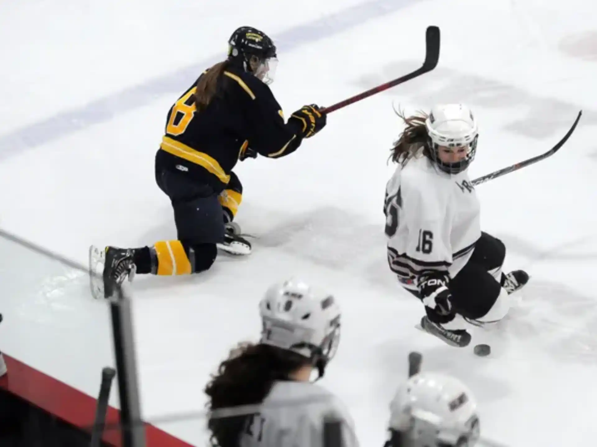 a group of people playing hockey
