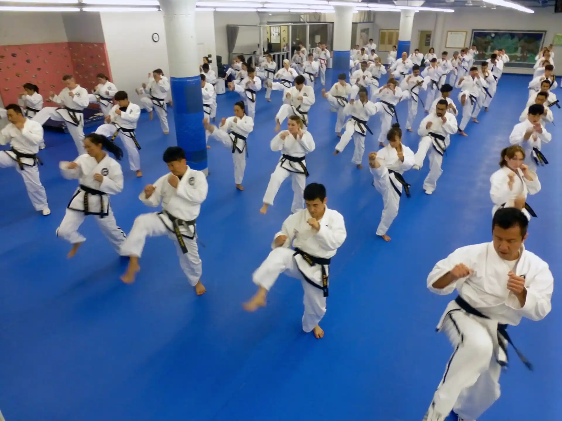 a group of people in karate uniforms