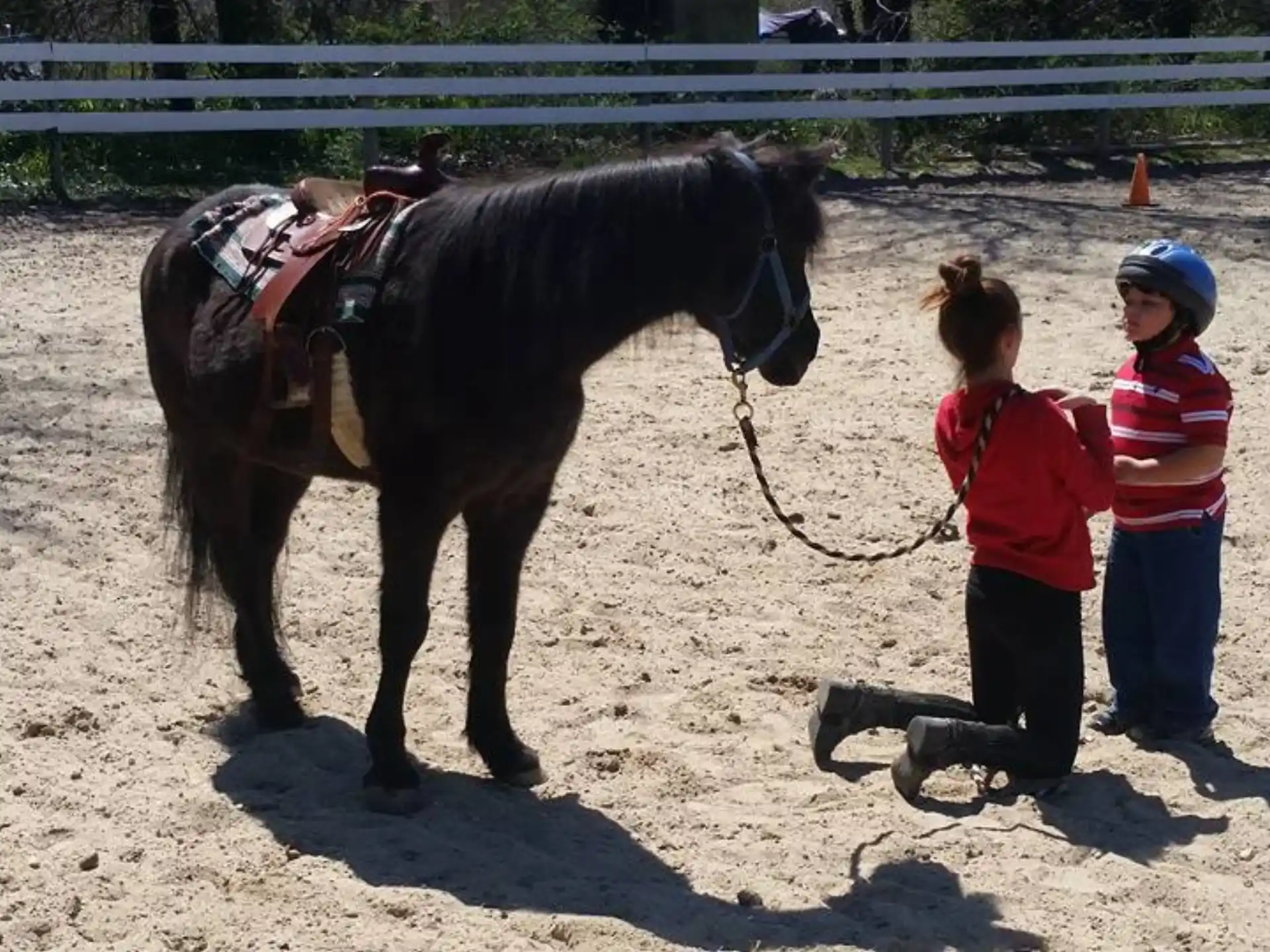 a couple of kids playing with a horse in a fenced in area