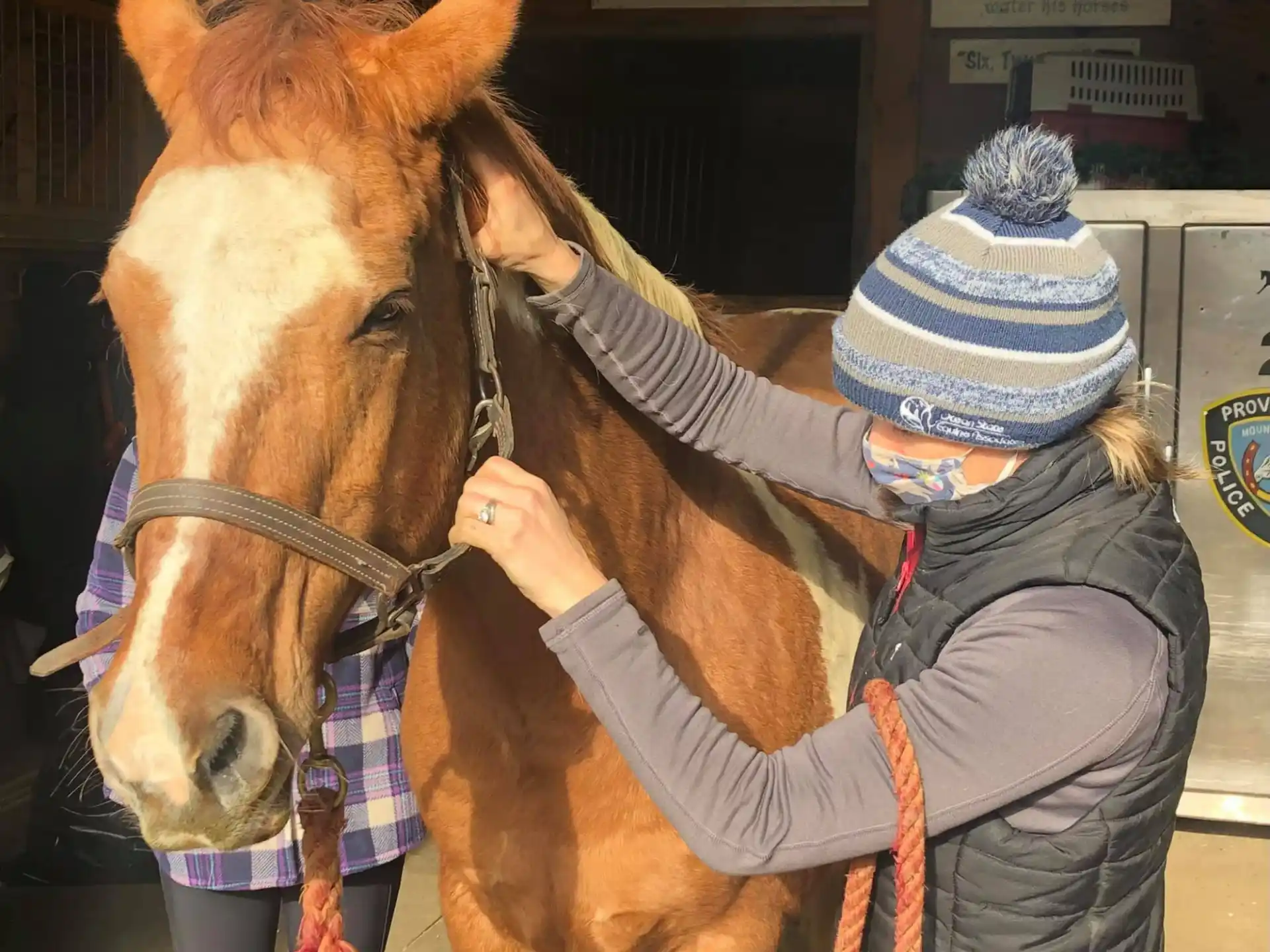 a person with a hat petting a horse