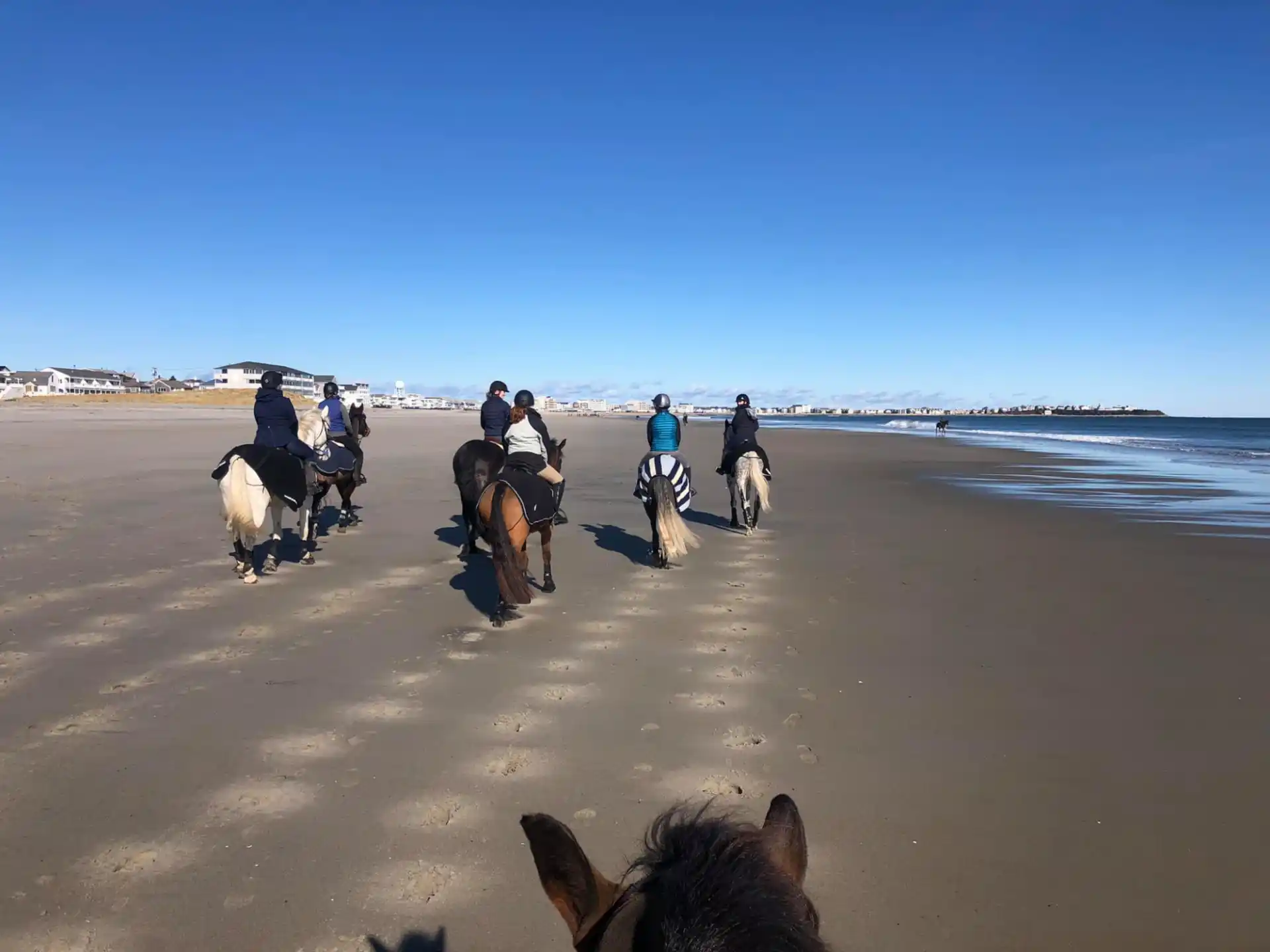 a group of people riding horses on a beach