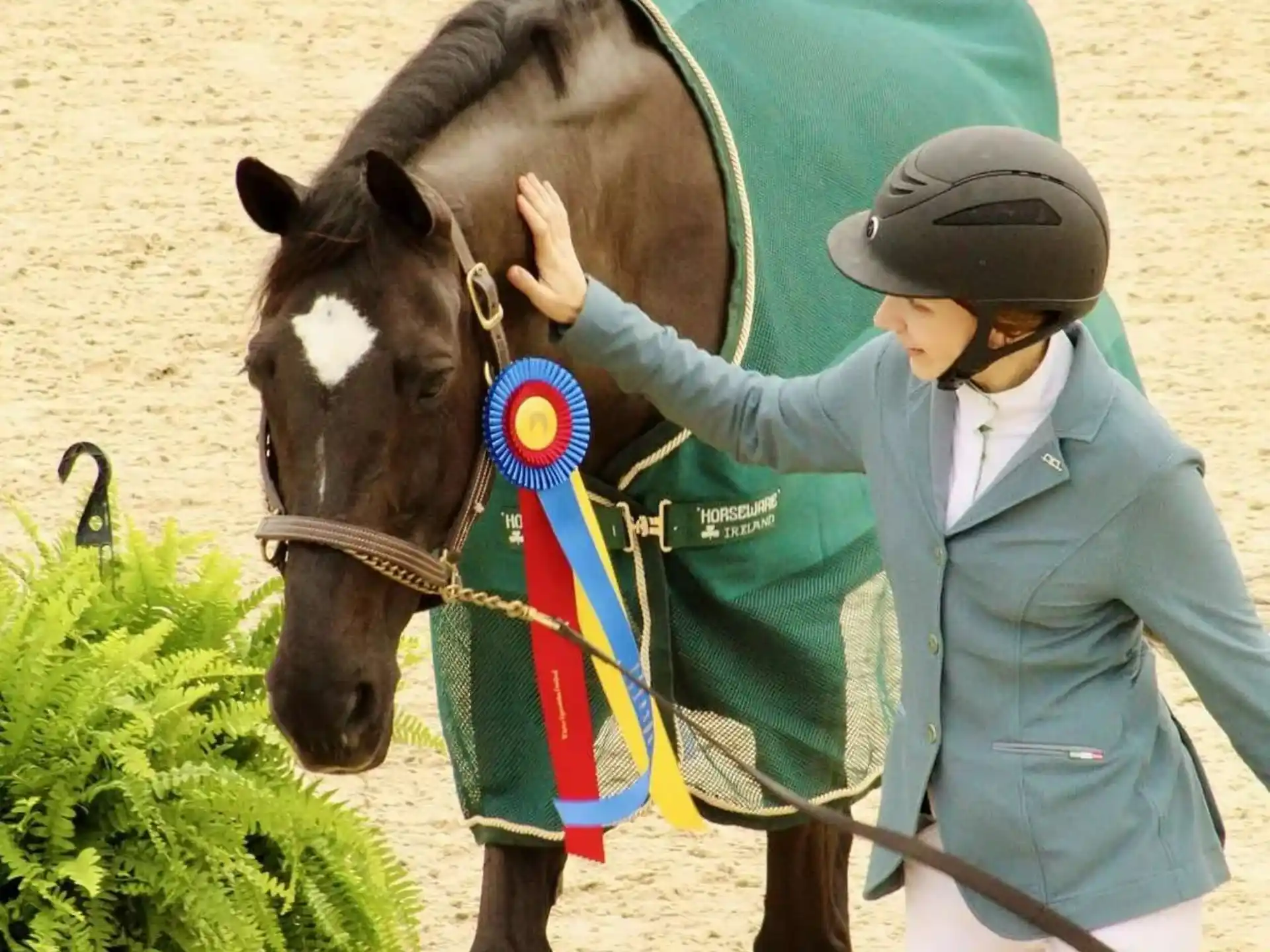 a person holding a horse