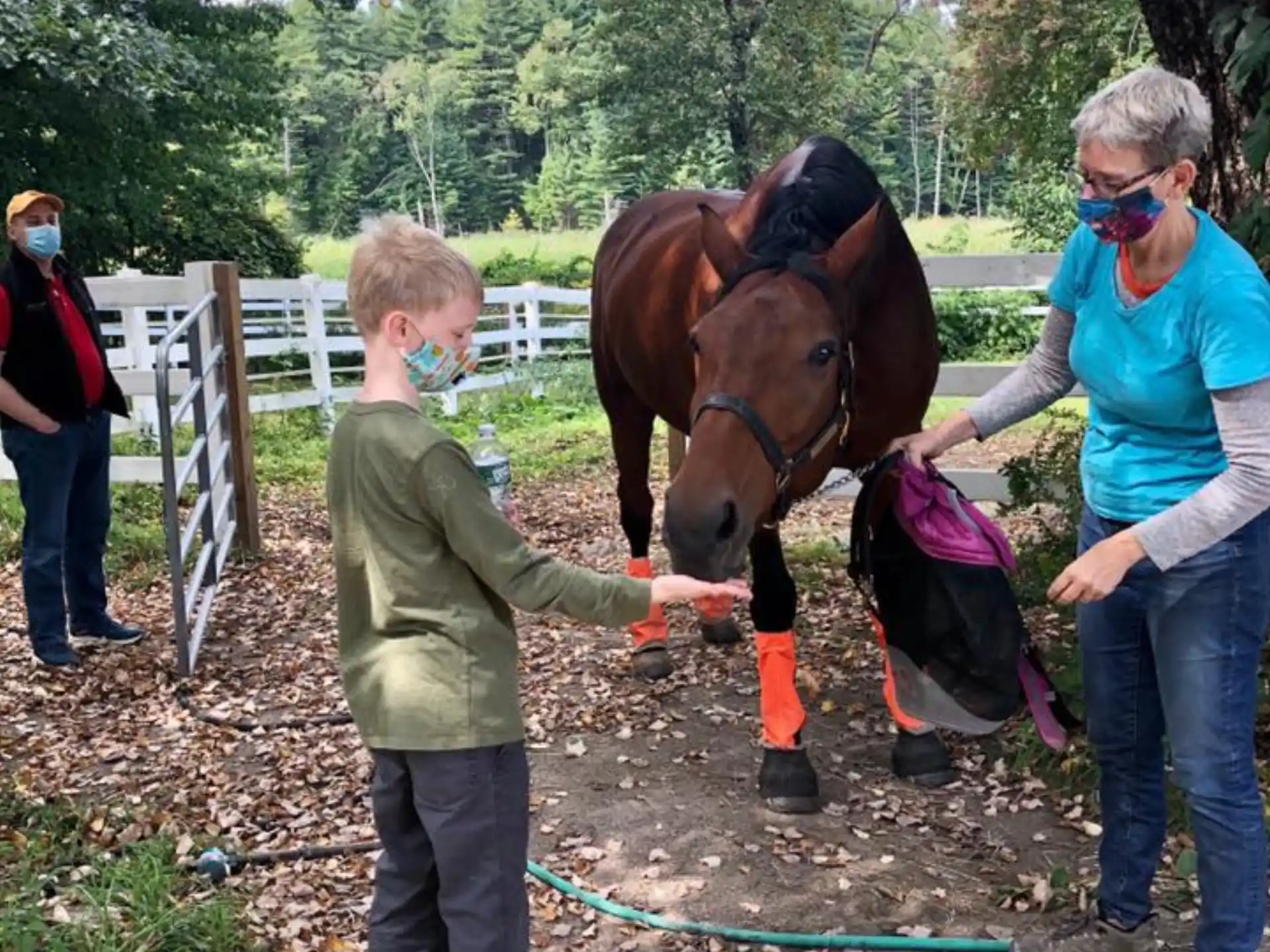 a person and a boy petting a horse