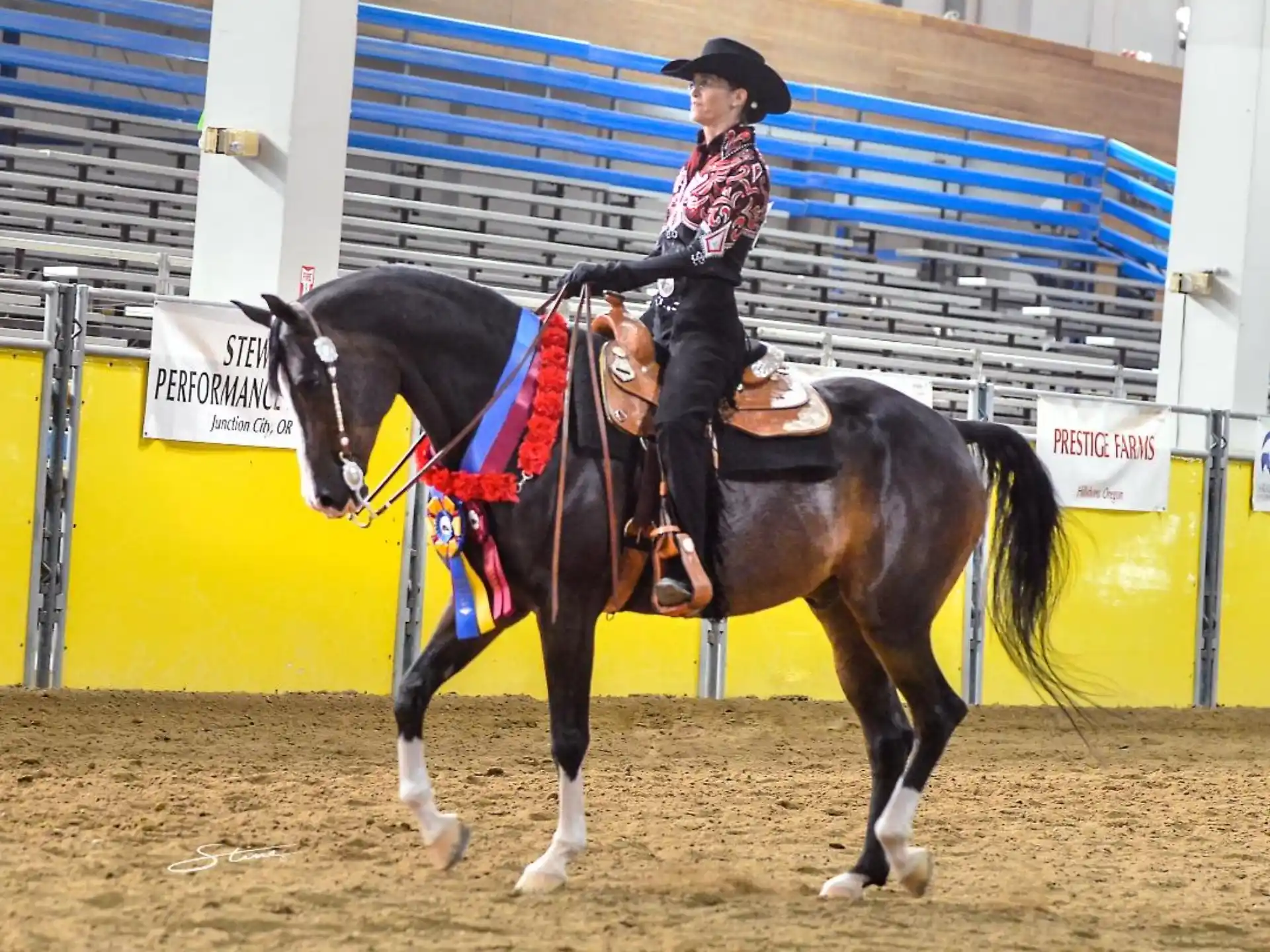 a person riding a horse