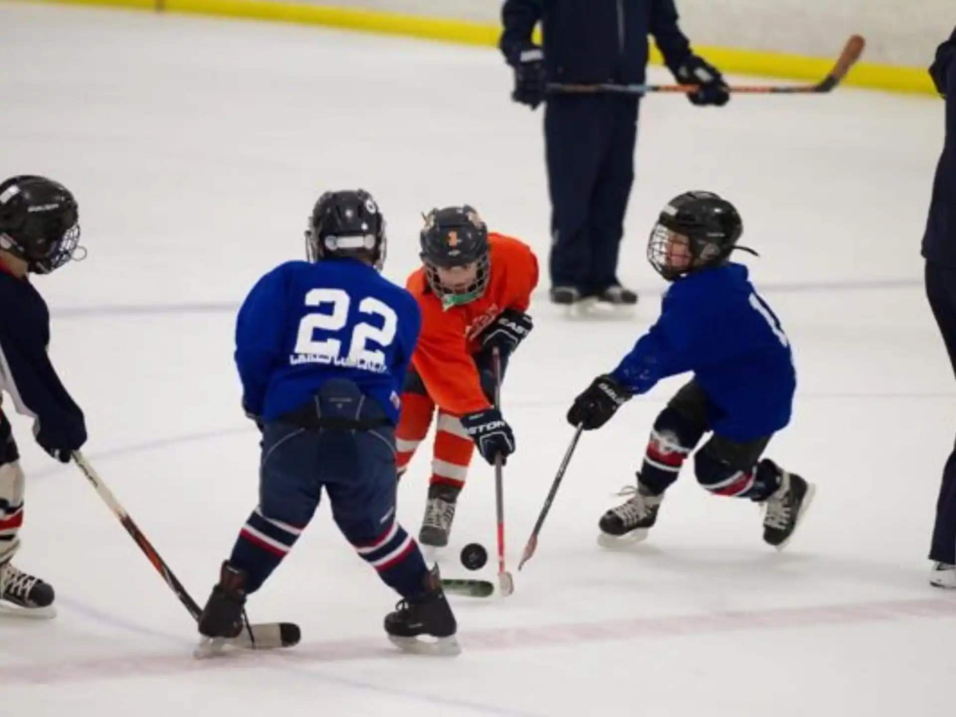 a group of kids playing hockey