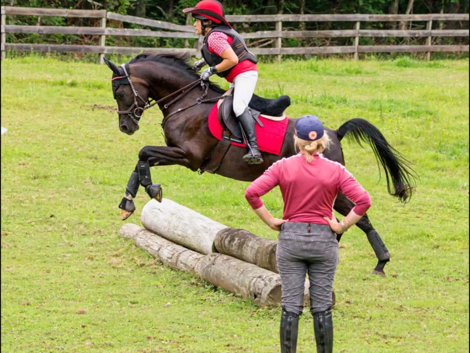 a person leading a girl on a horse