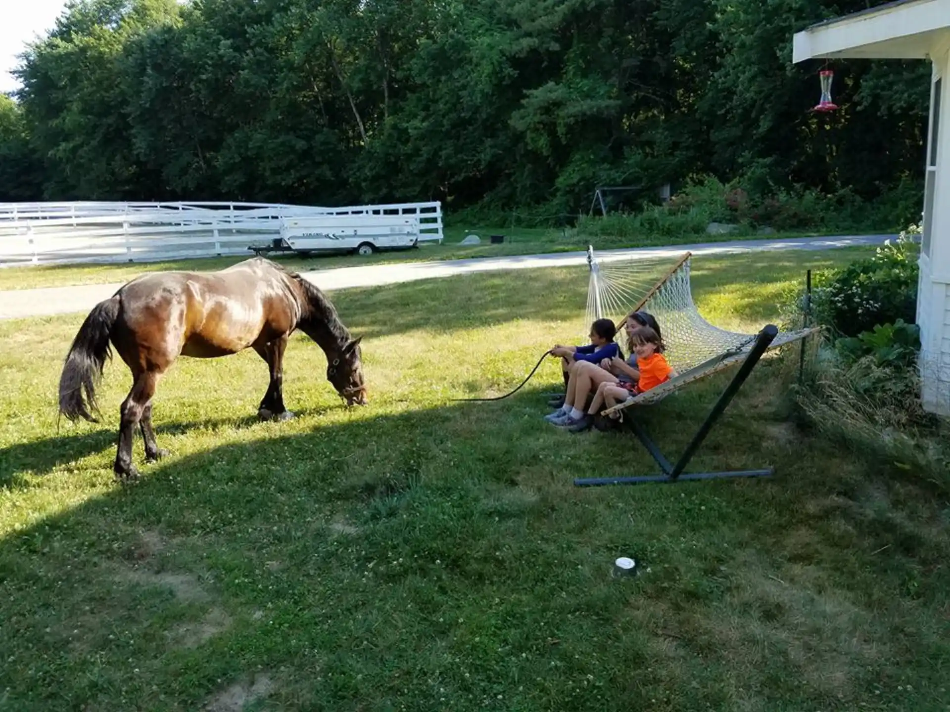 a horse and a couple of kids sitting on a bench in a grass field