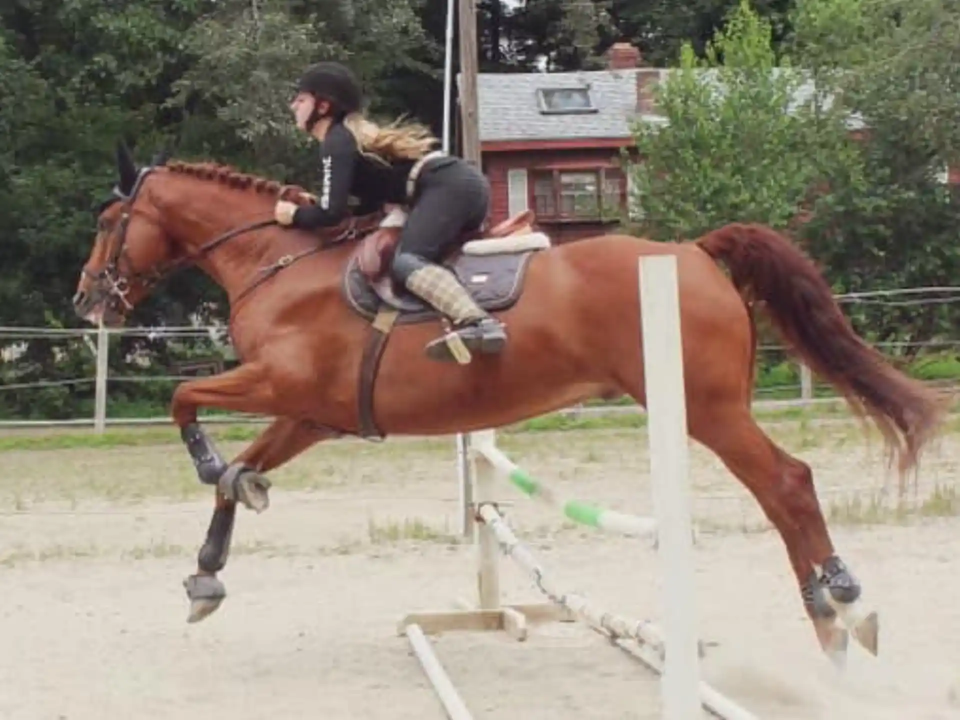 a person riding a horse