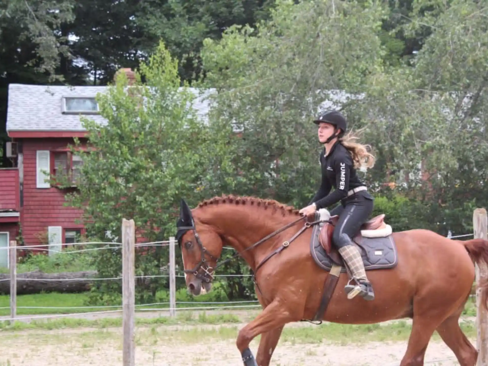 a person riding a horse