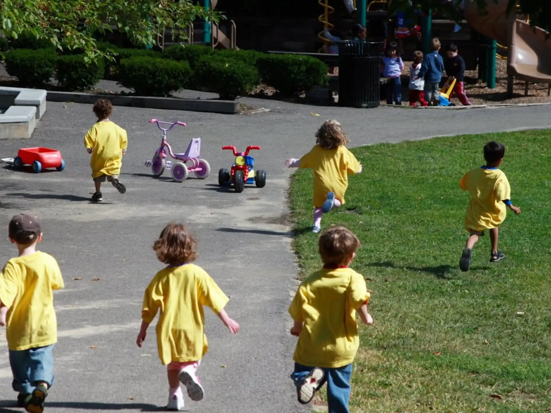 a group of children playing in a park