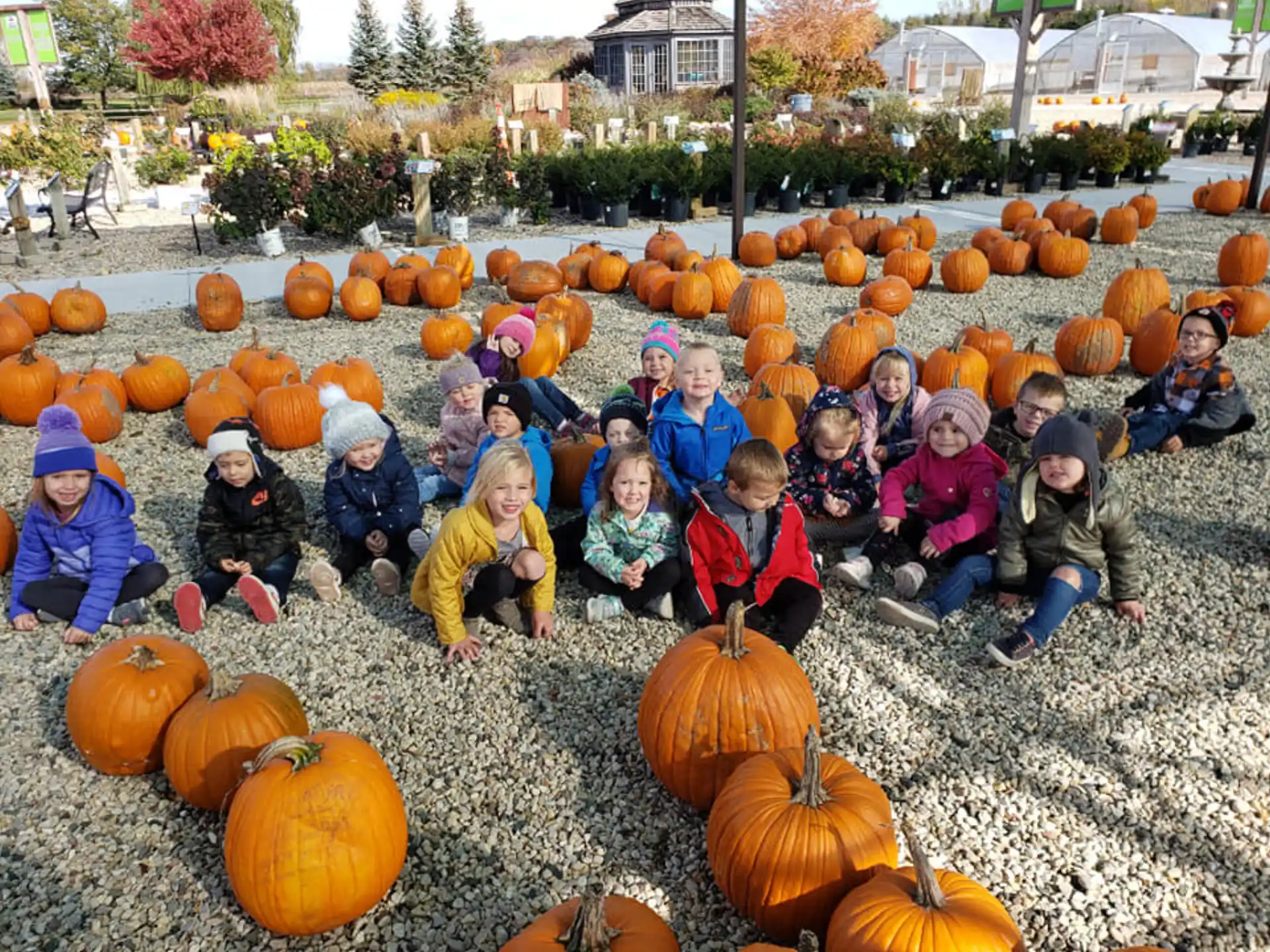 a group of children sitting in a pumpkin patch
