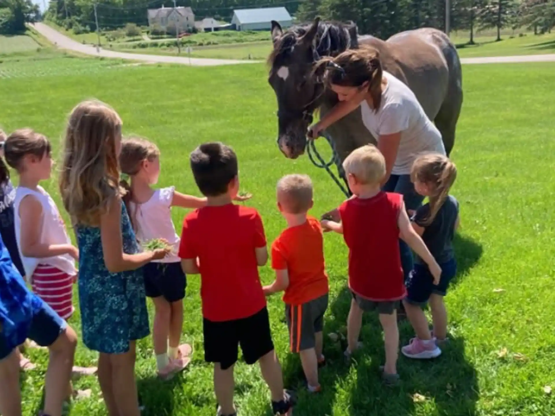 a person with a group of children looking at a horse