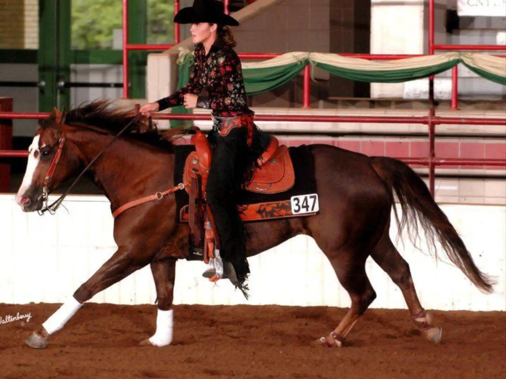 a person riding a horse
