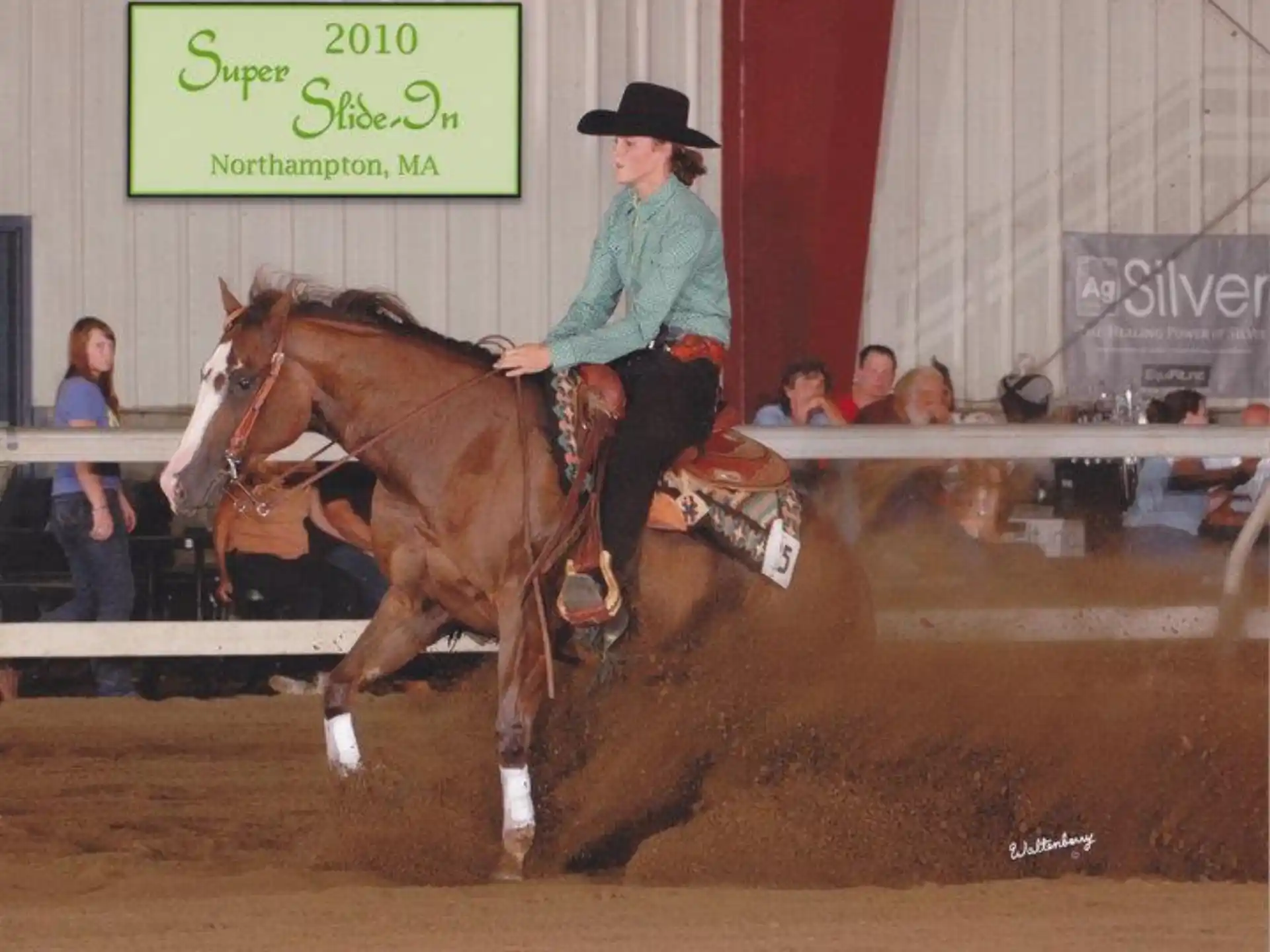 a person riding a horse