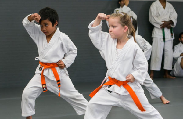 a group of people in karate uniforms