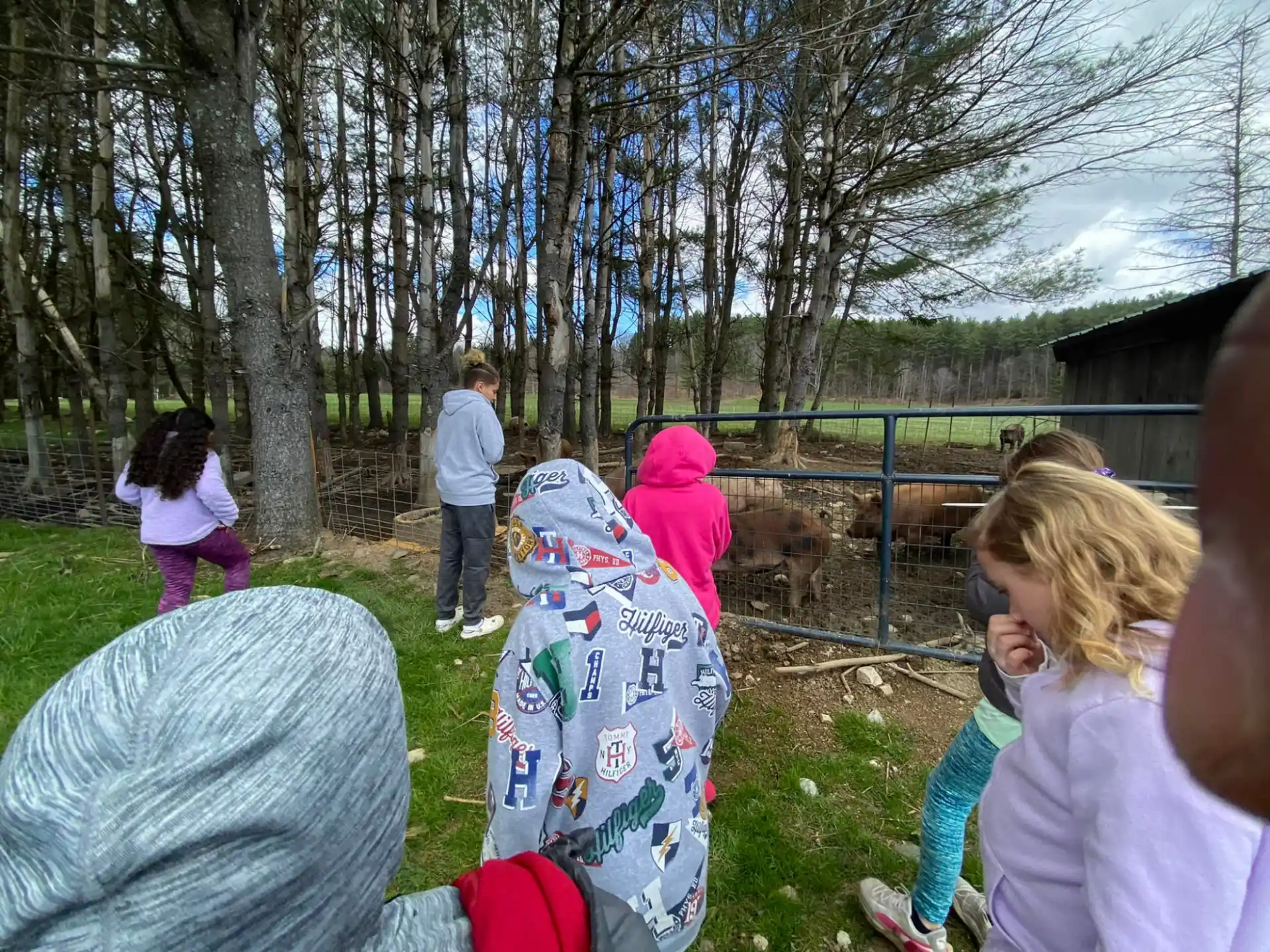 a group of people watching a snowboarder