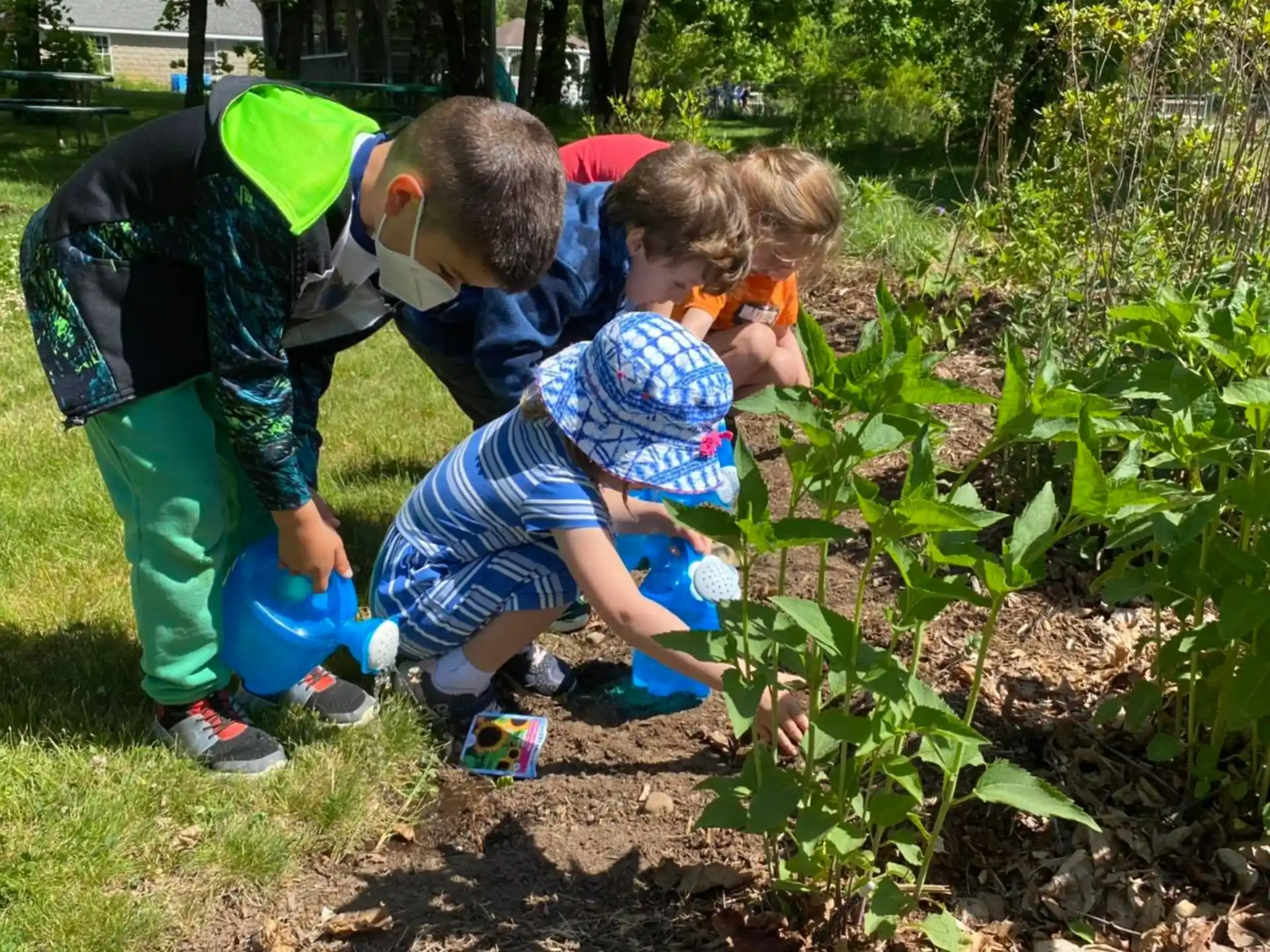 a person and a child planting plants