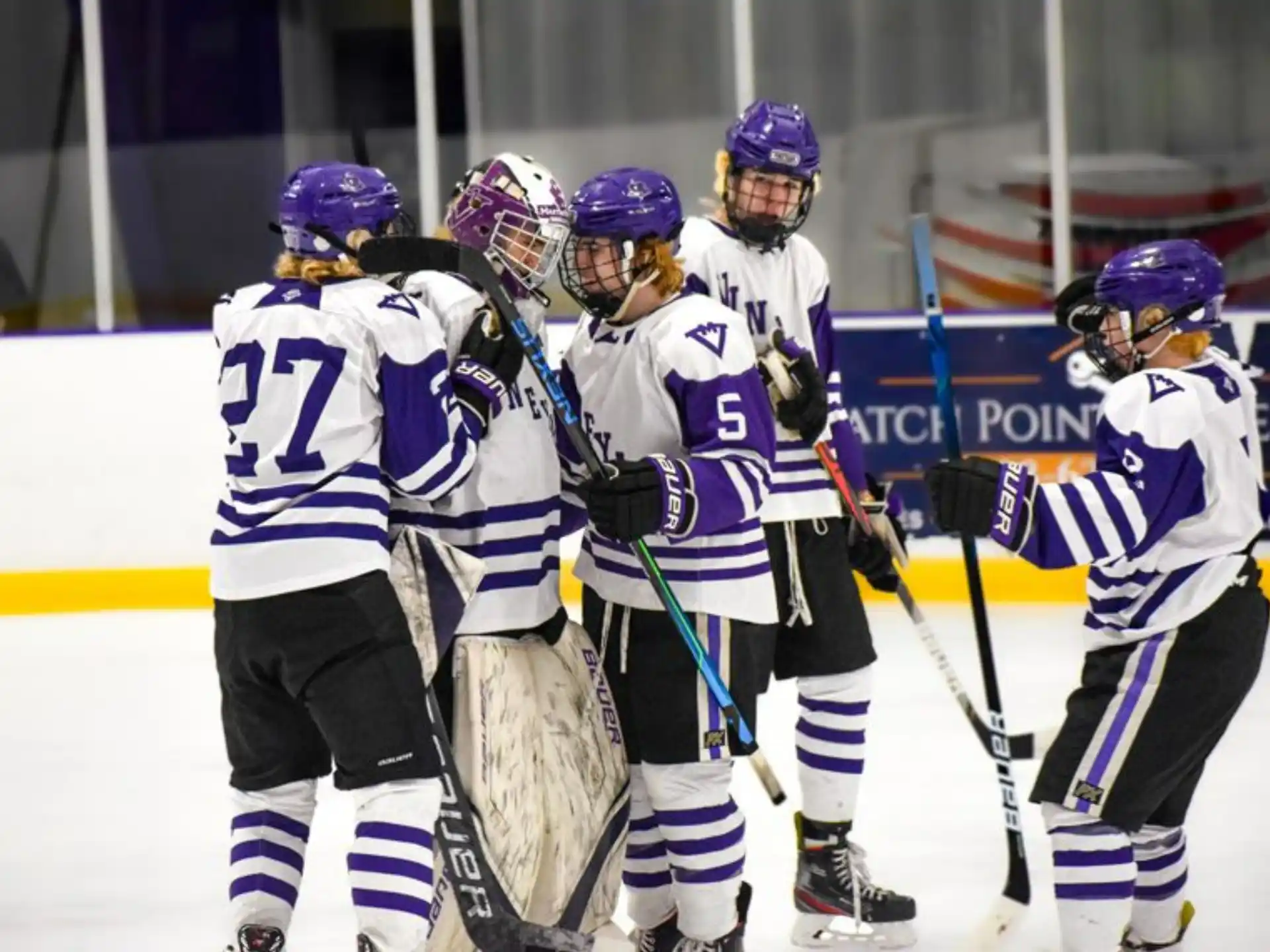 a group of hockey players