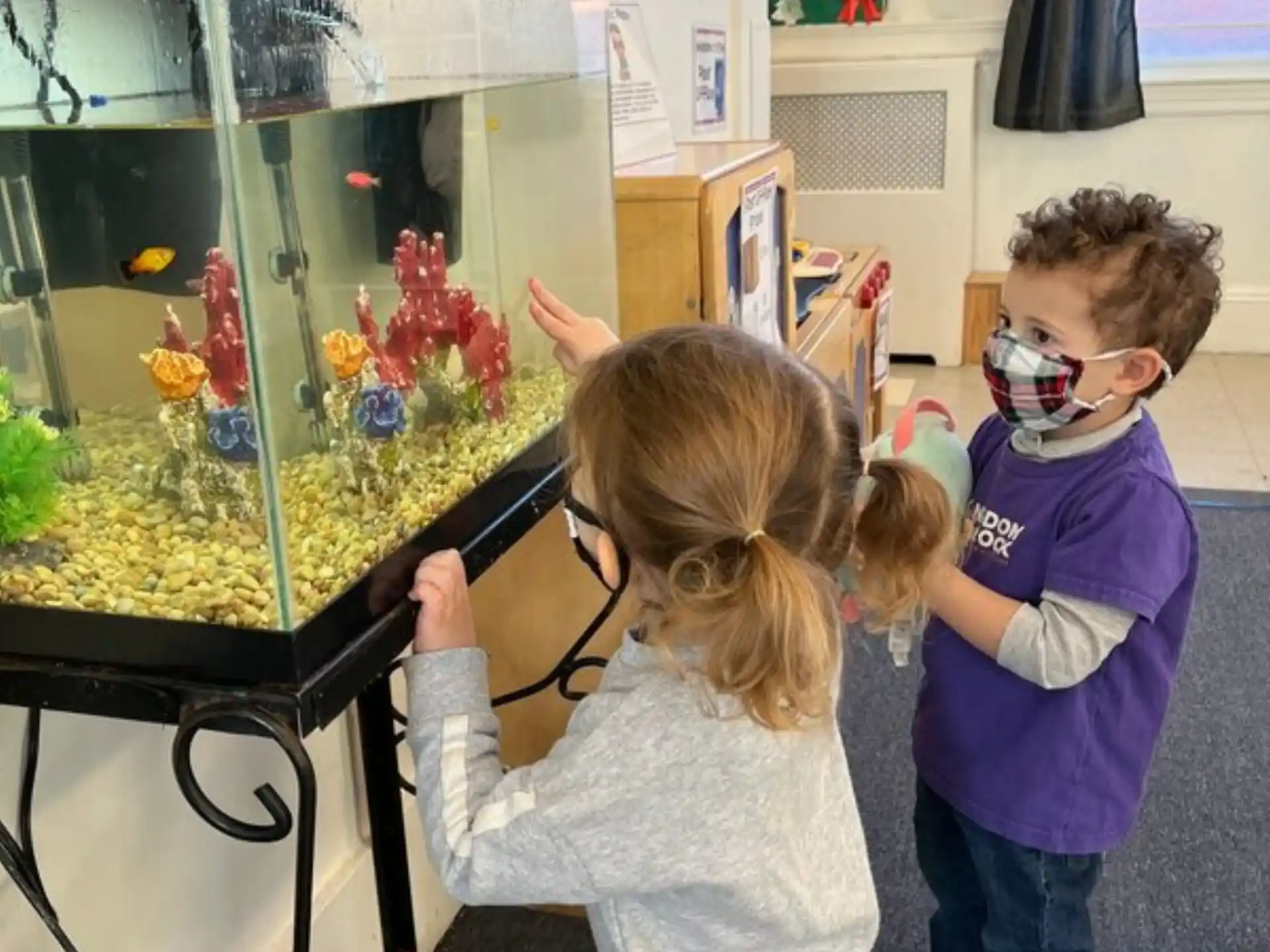 a group of children looking at a fish tank