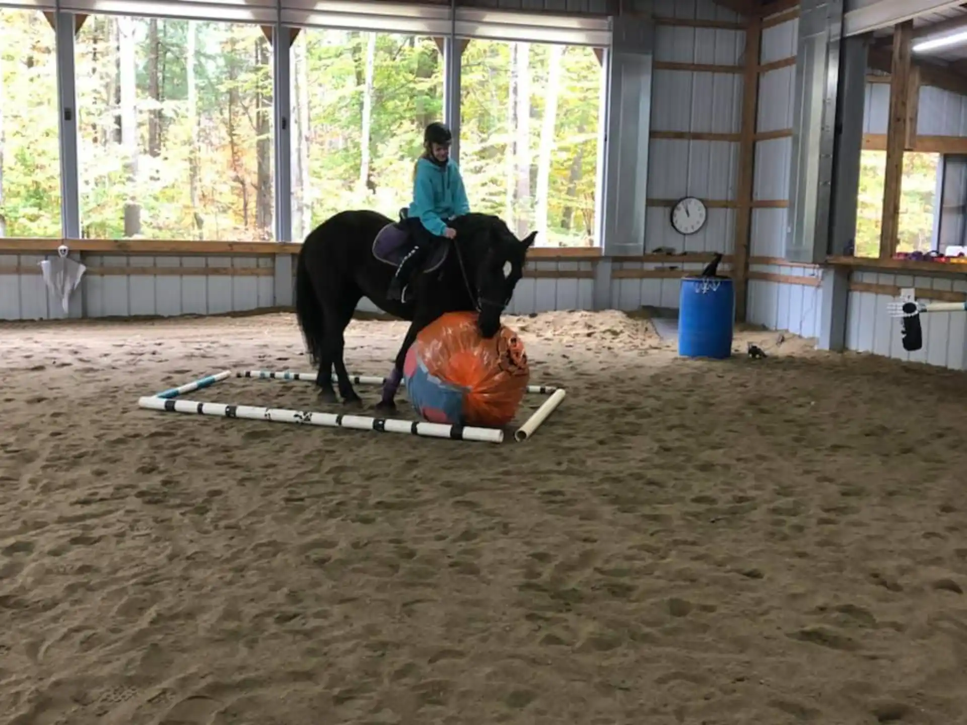 a person riding a horse