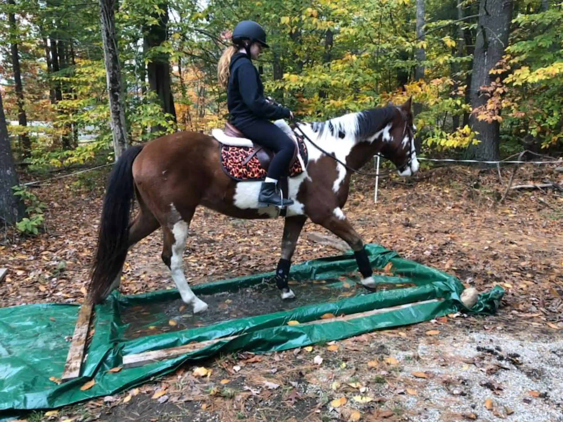 a person riding a horse