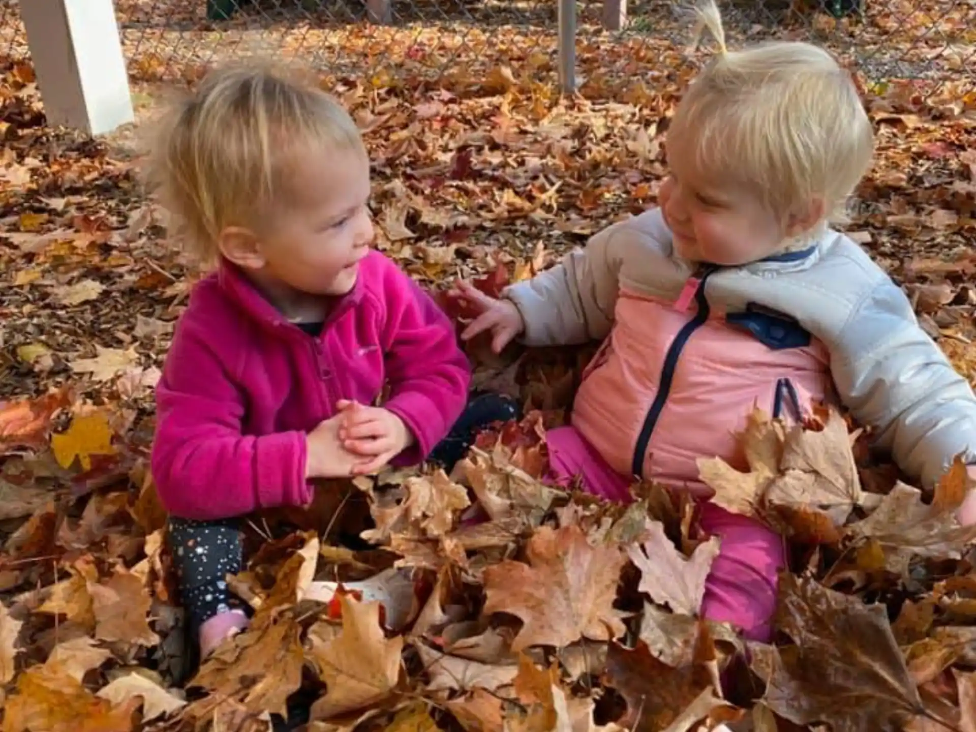 two children playing in leaves