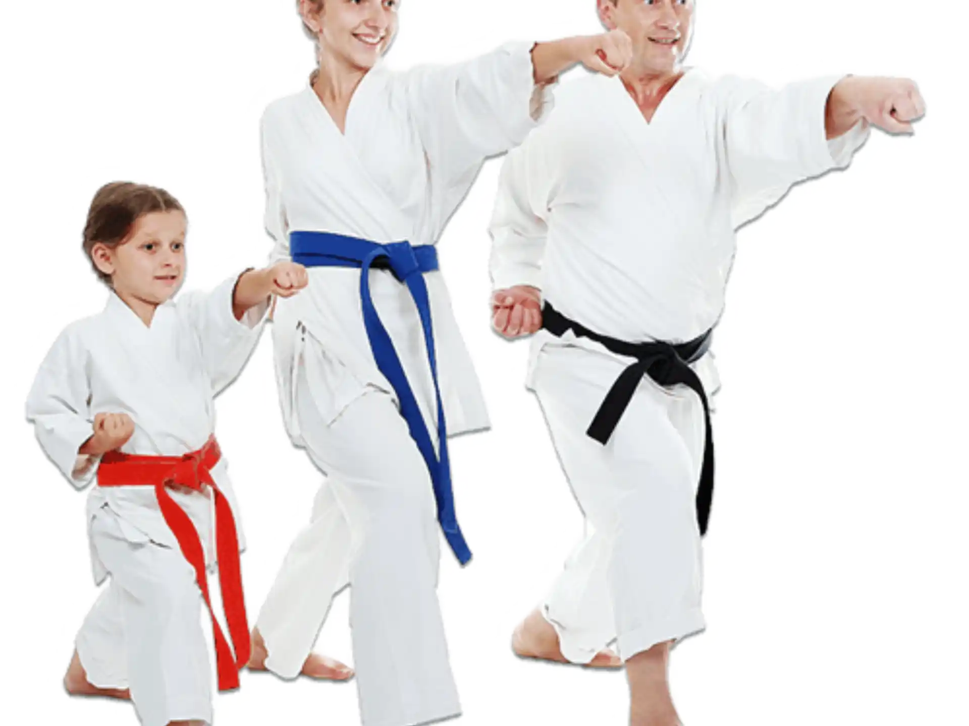 a group of people in karate uniforms