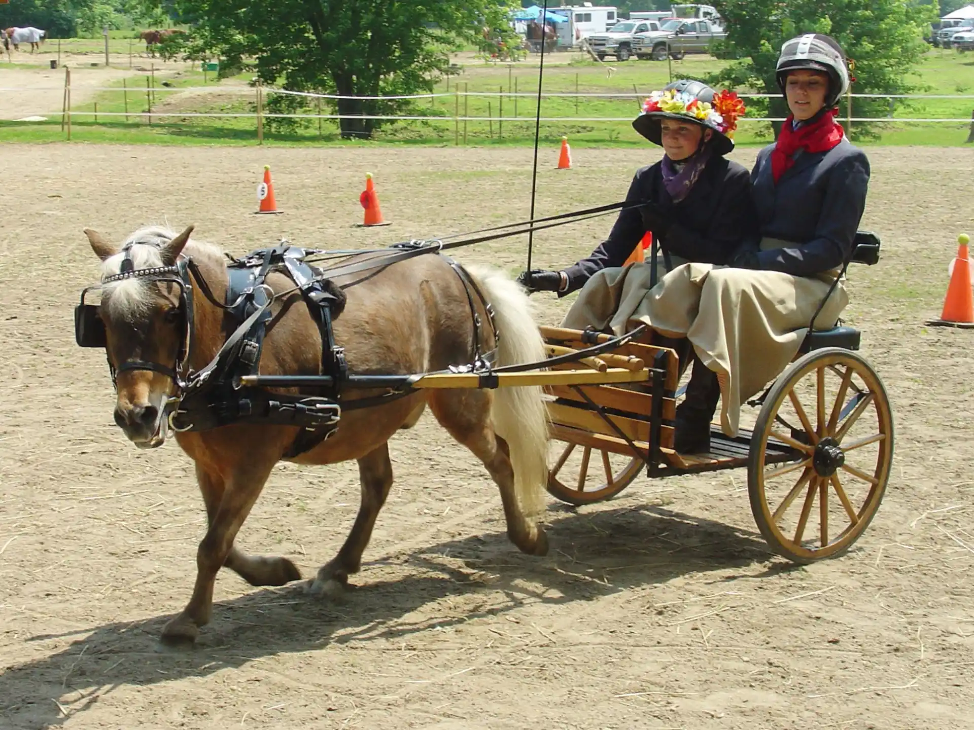 a couple of people ride in a horse drawn carriage