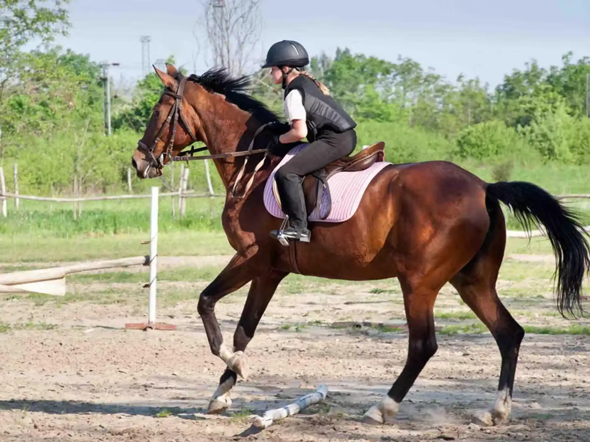 a person riding a horse