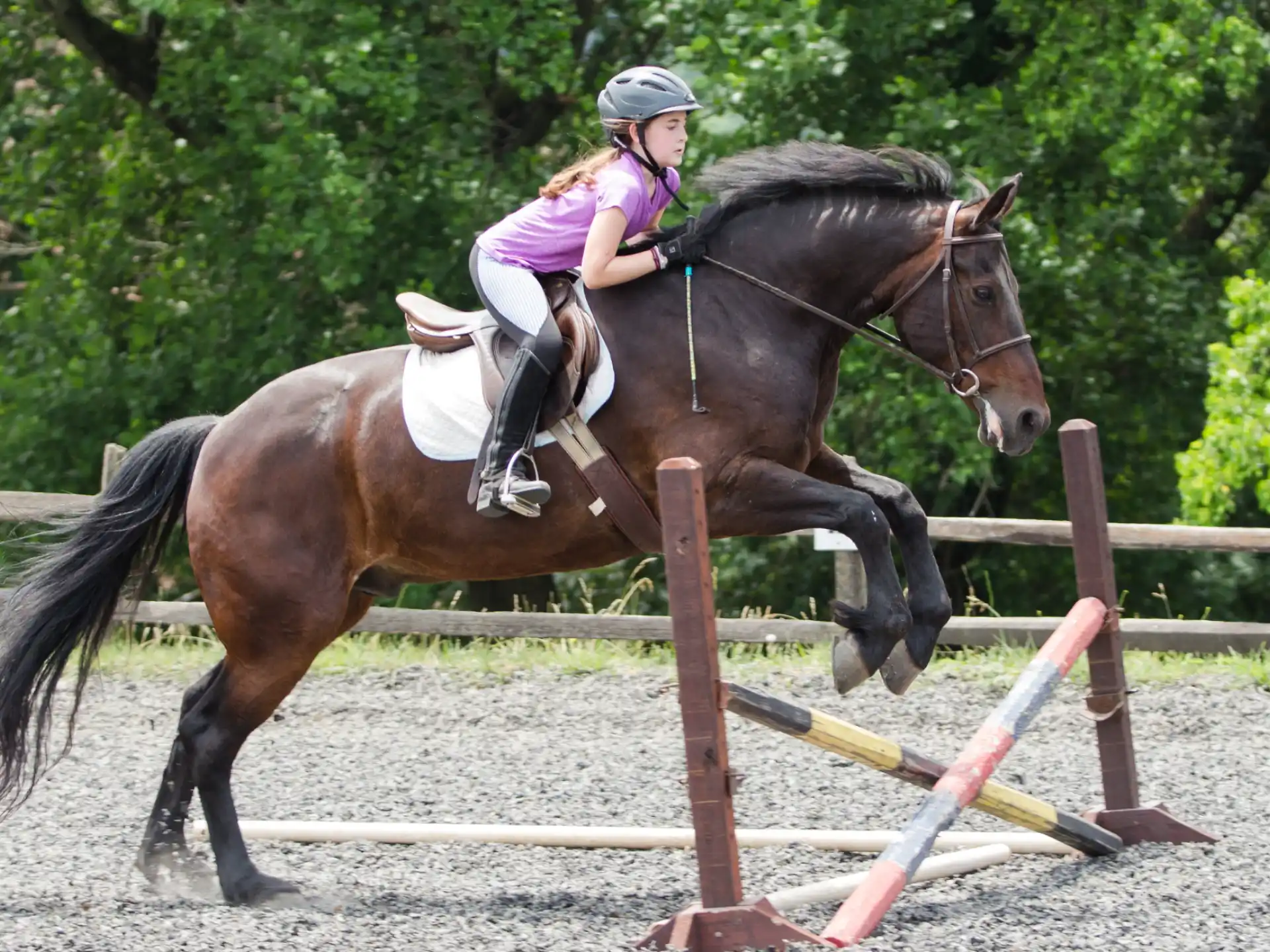 a person riding a horse