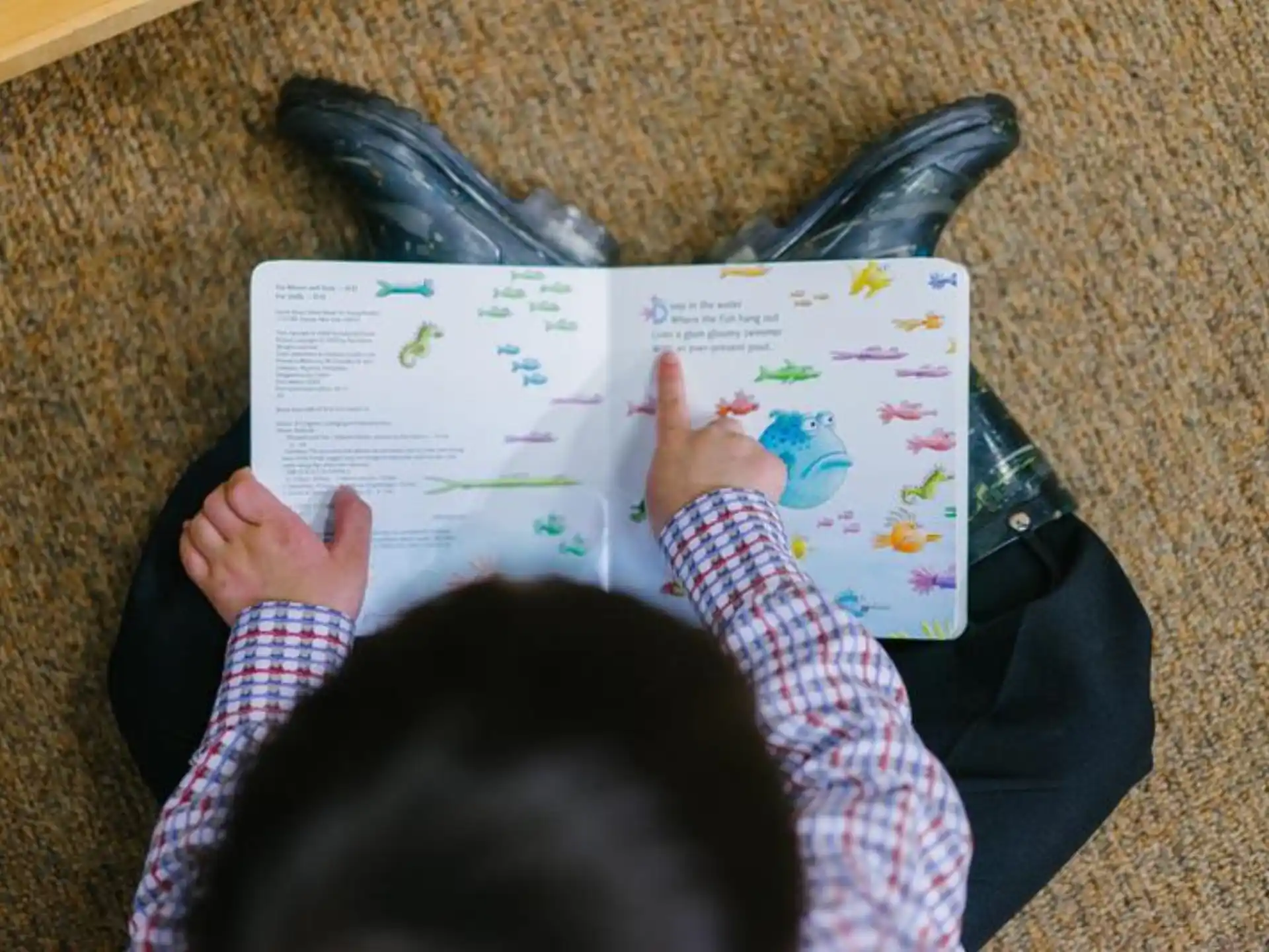 a person reading a book
