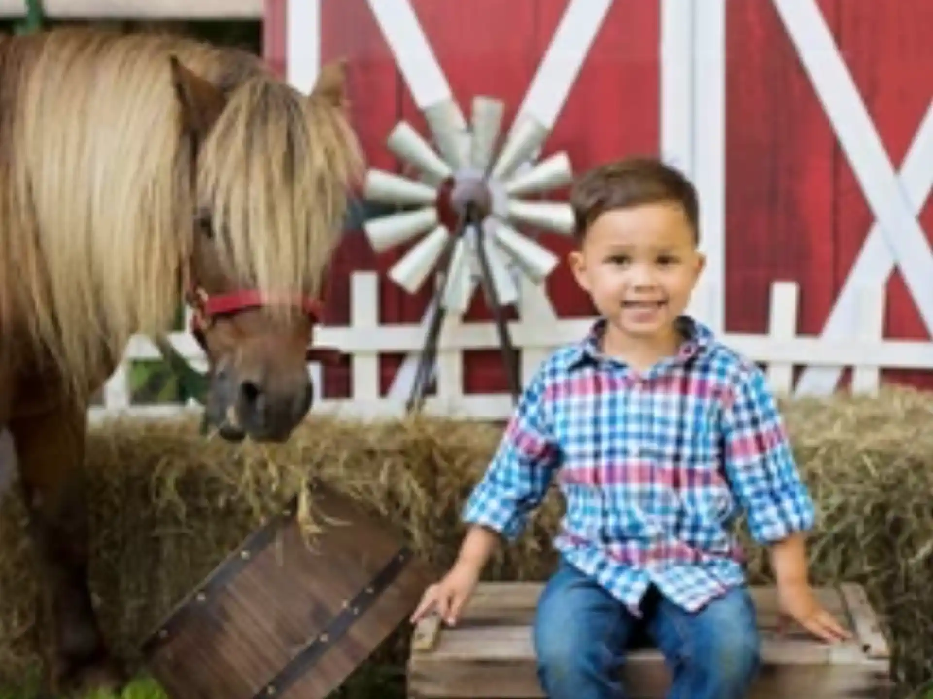 a boy sitting on a bench next to a horse and a barn