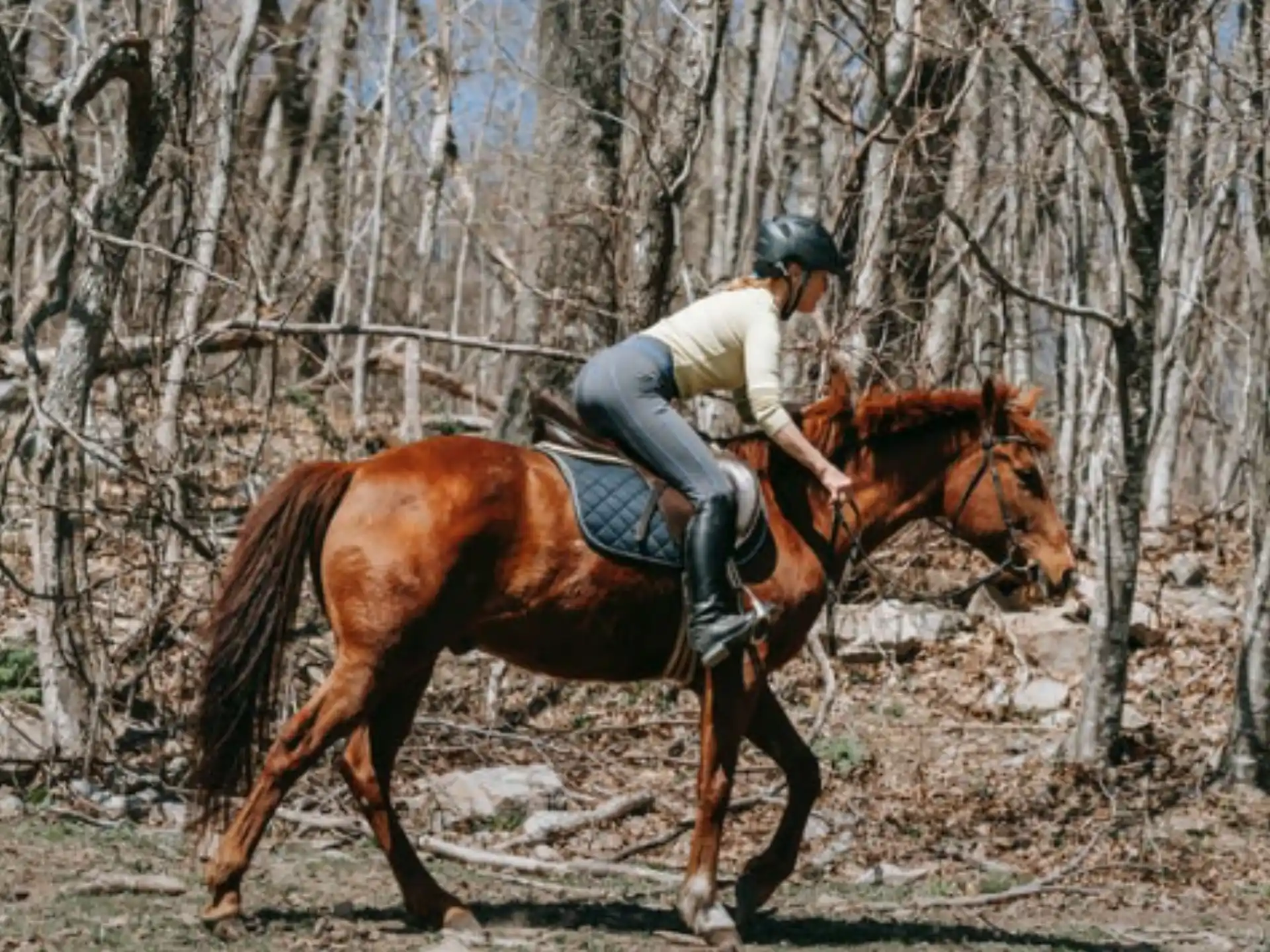 a person riding a horse