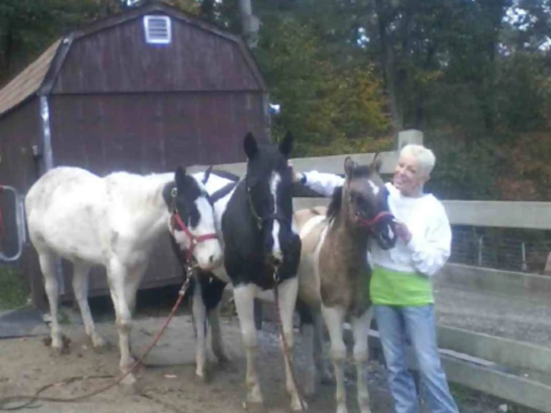 a person holding a dog next to a group of horses