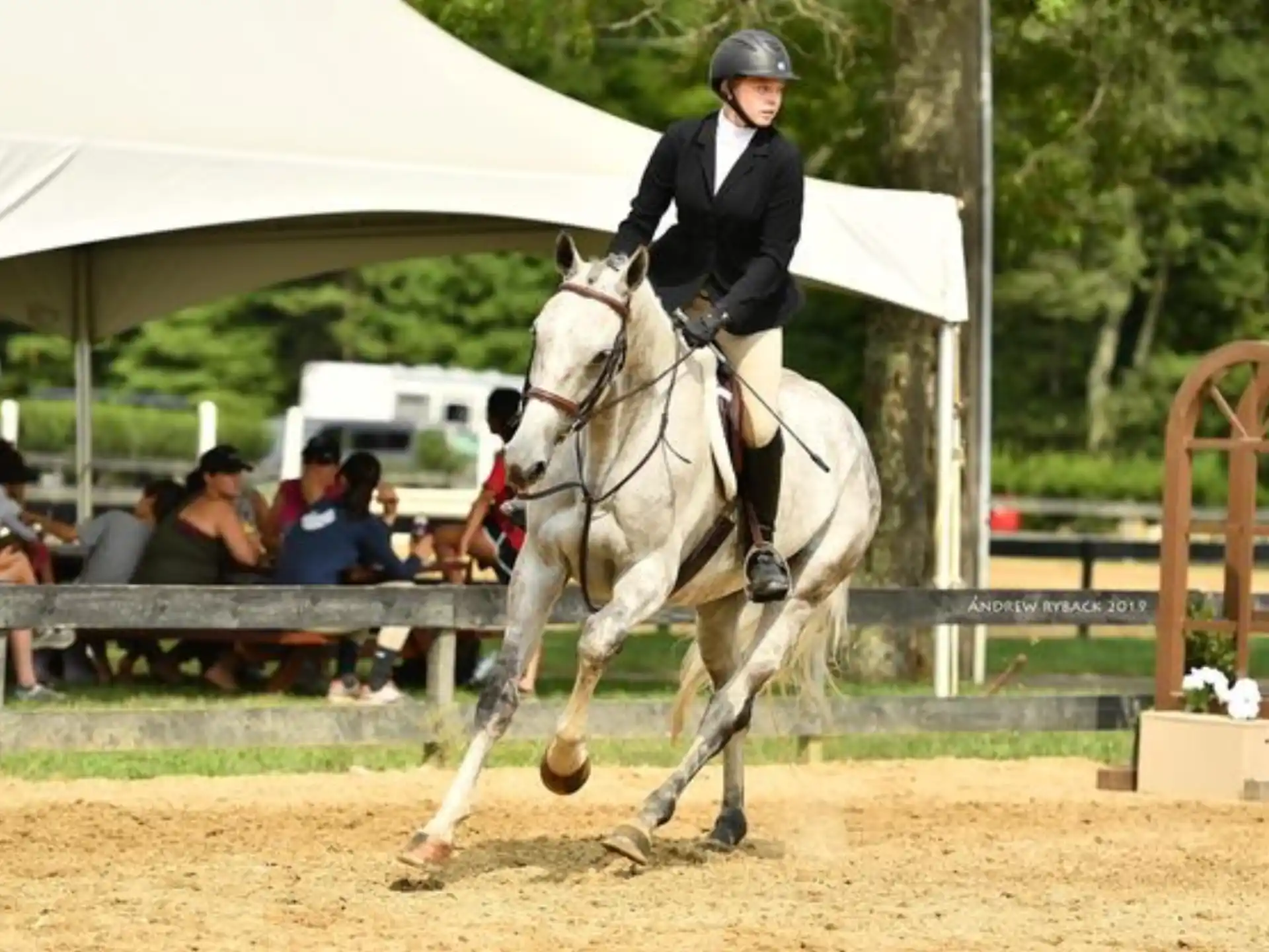 a person riding a horse