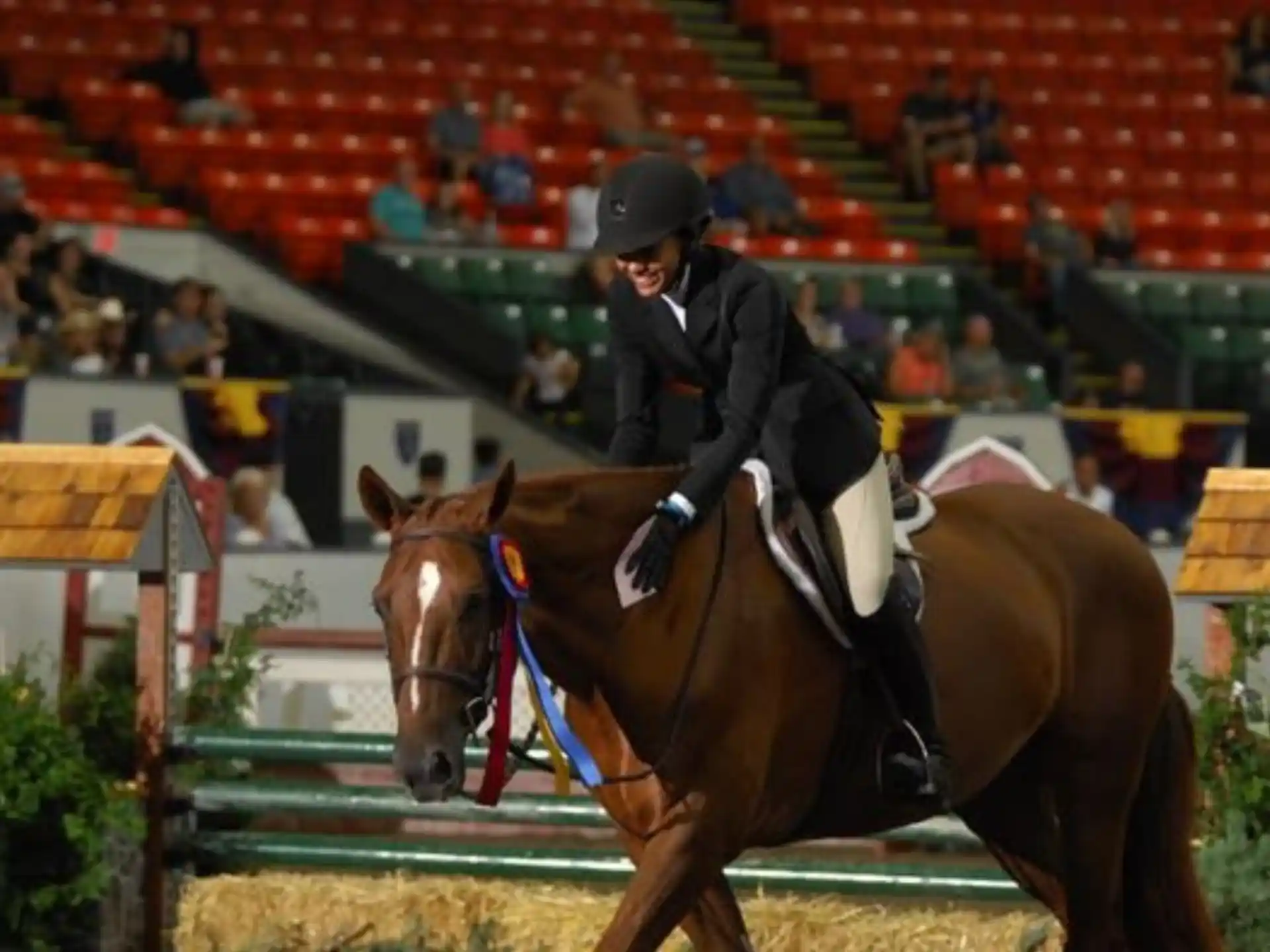 a person riding a horse in a competition