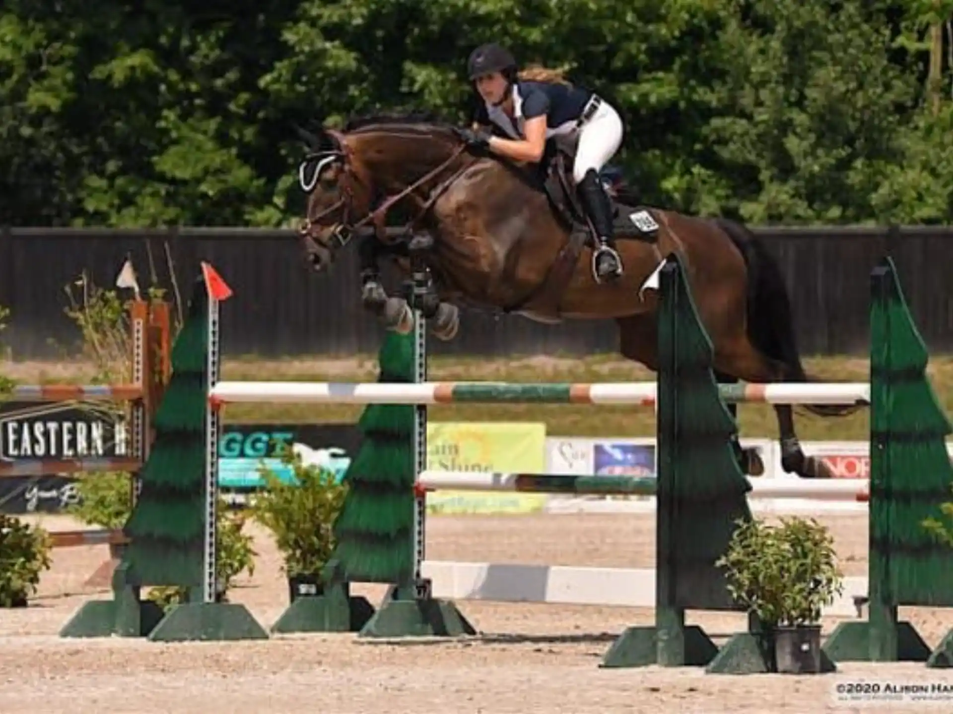 a person riding a horse over a jump