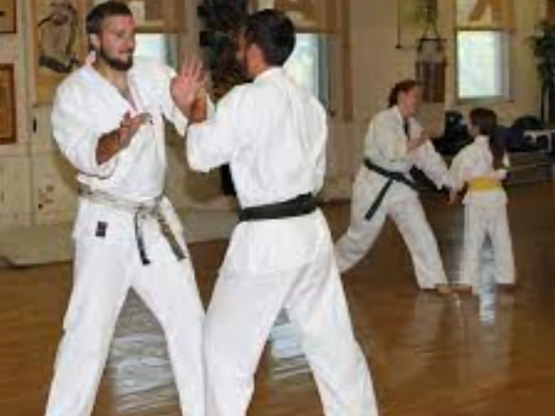a group of people in karate uniforms