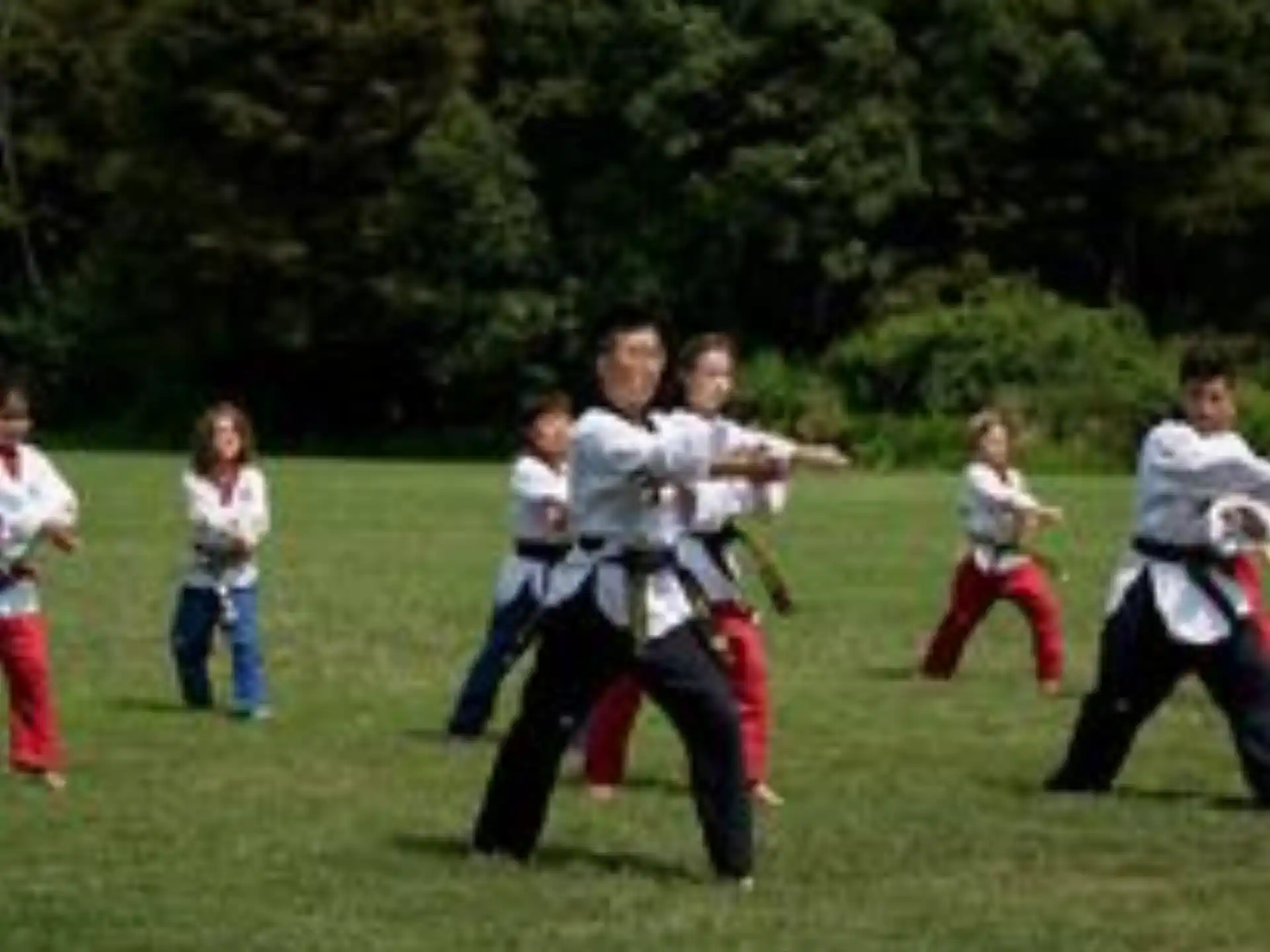 a group of people in a field