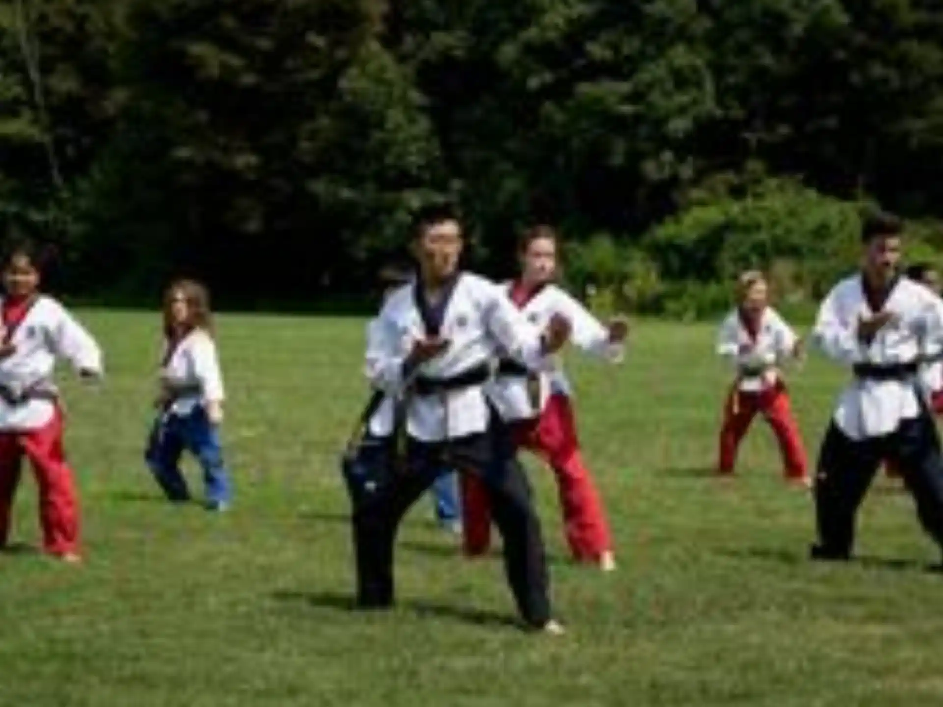 a group of people in a field