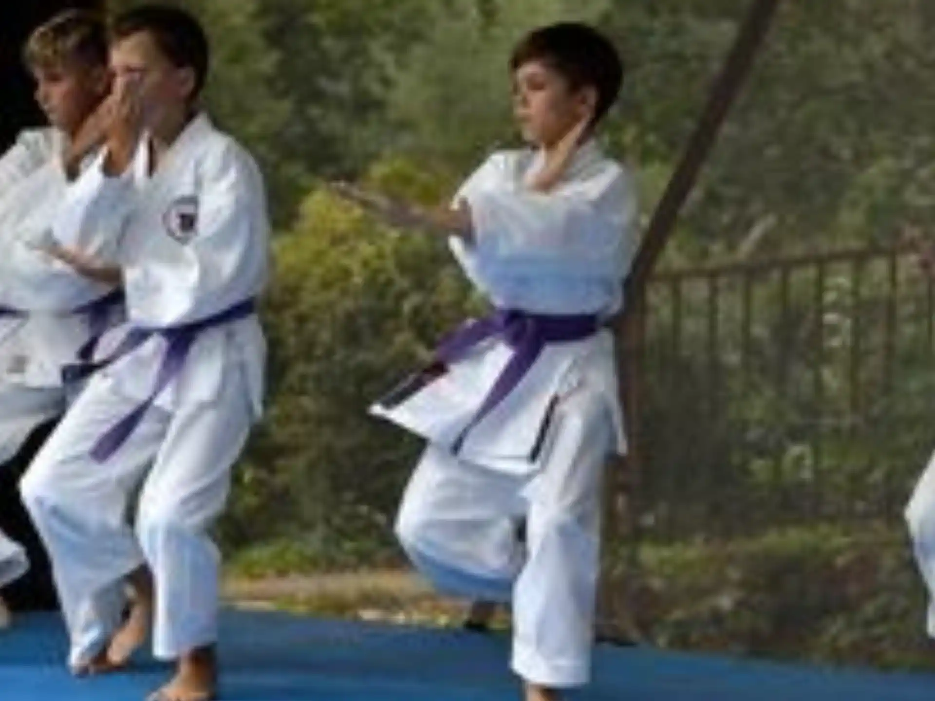 a group of people in karate uniforms