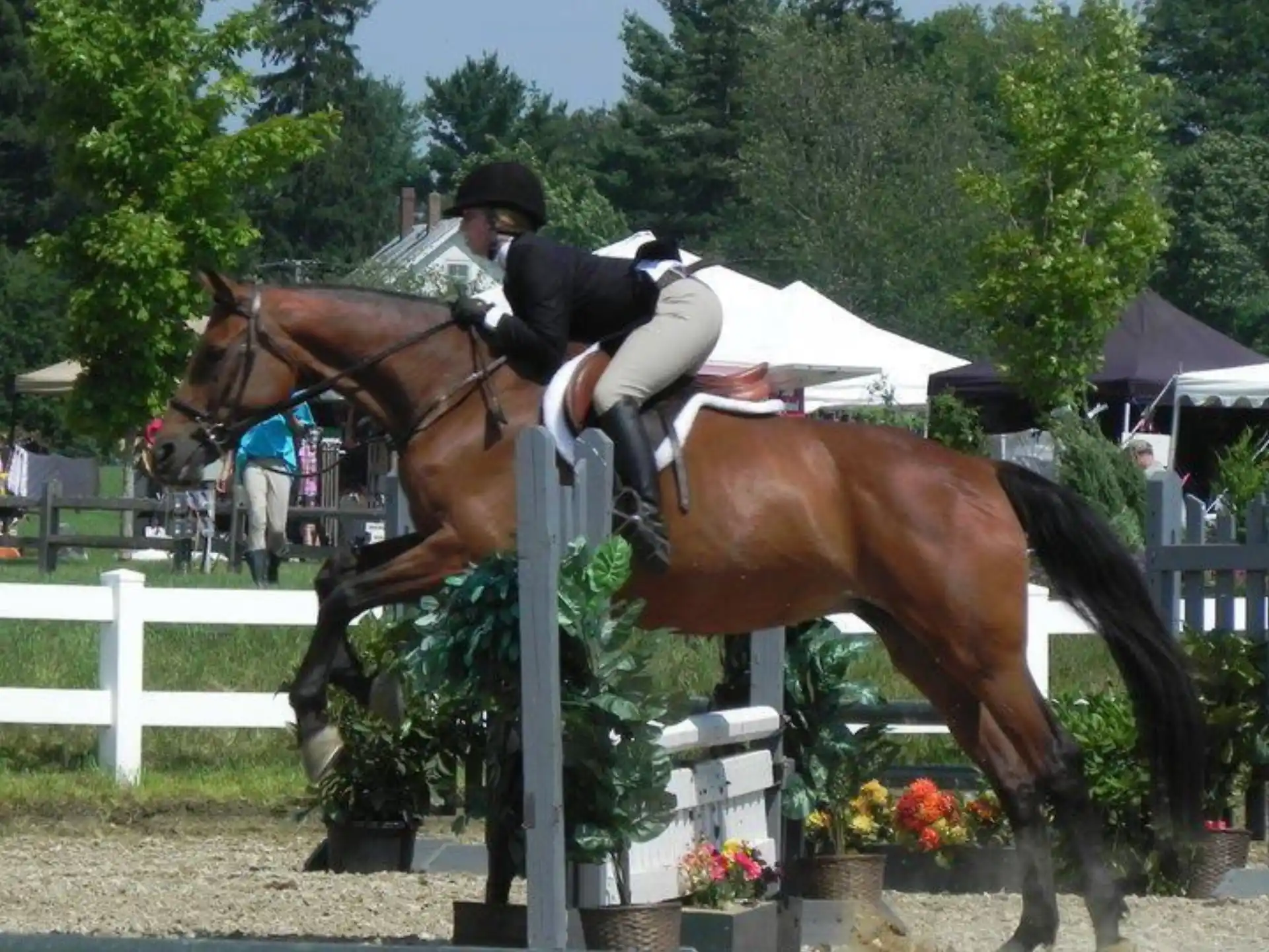 a person riding a horse