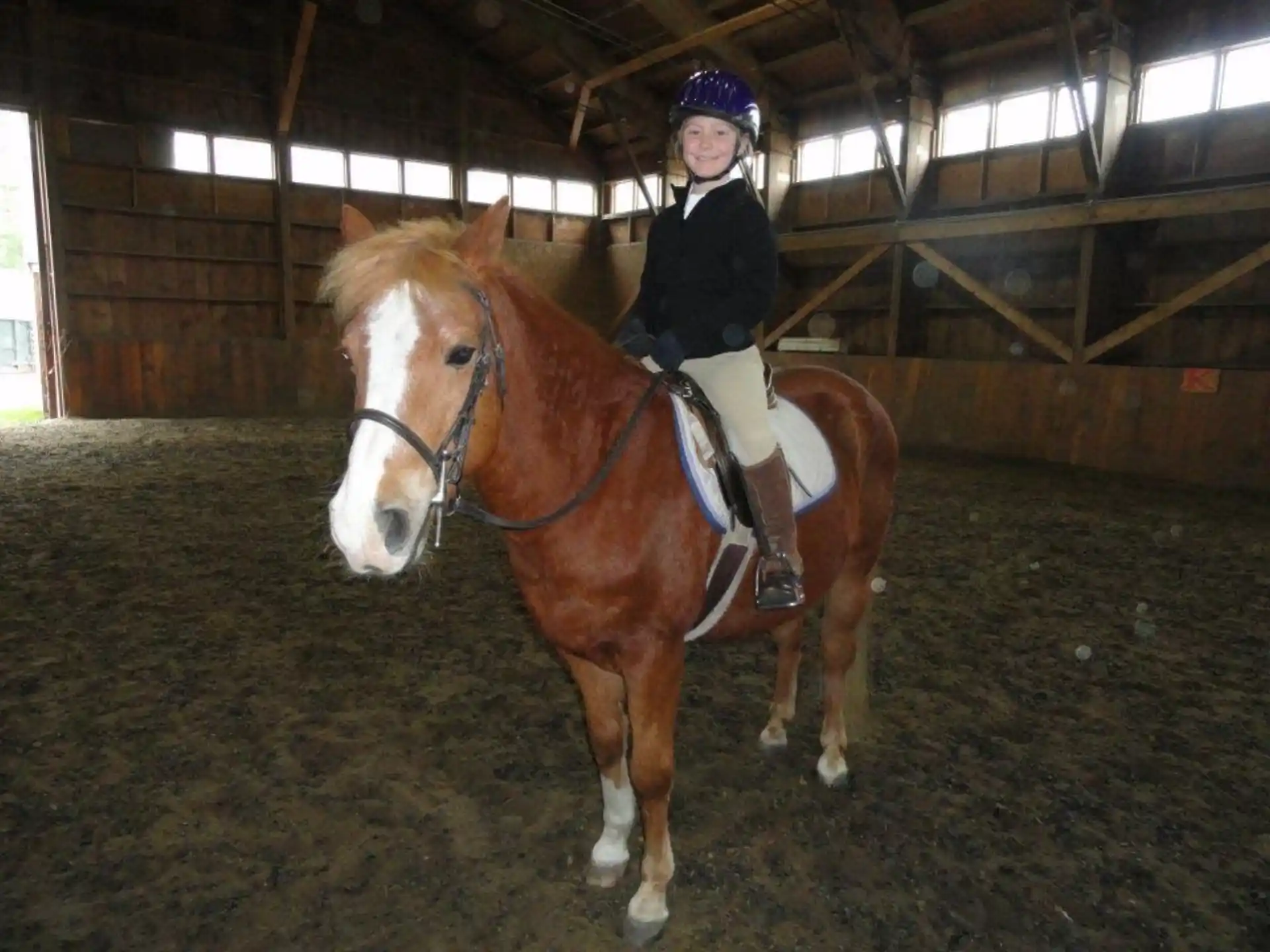 a person riding a horse