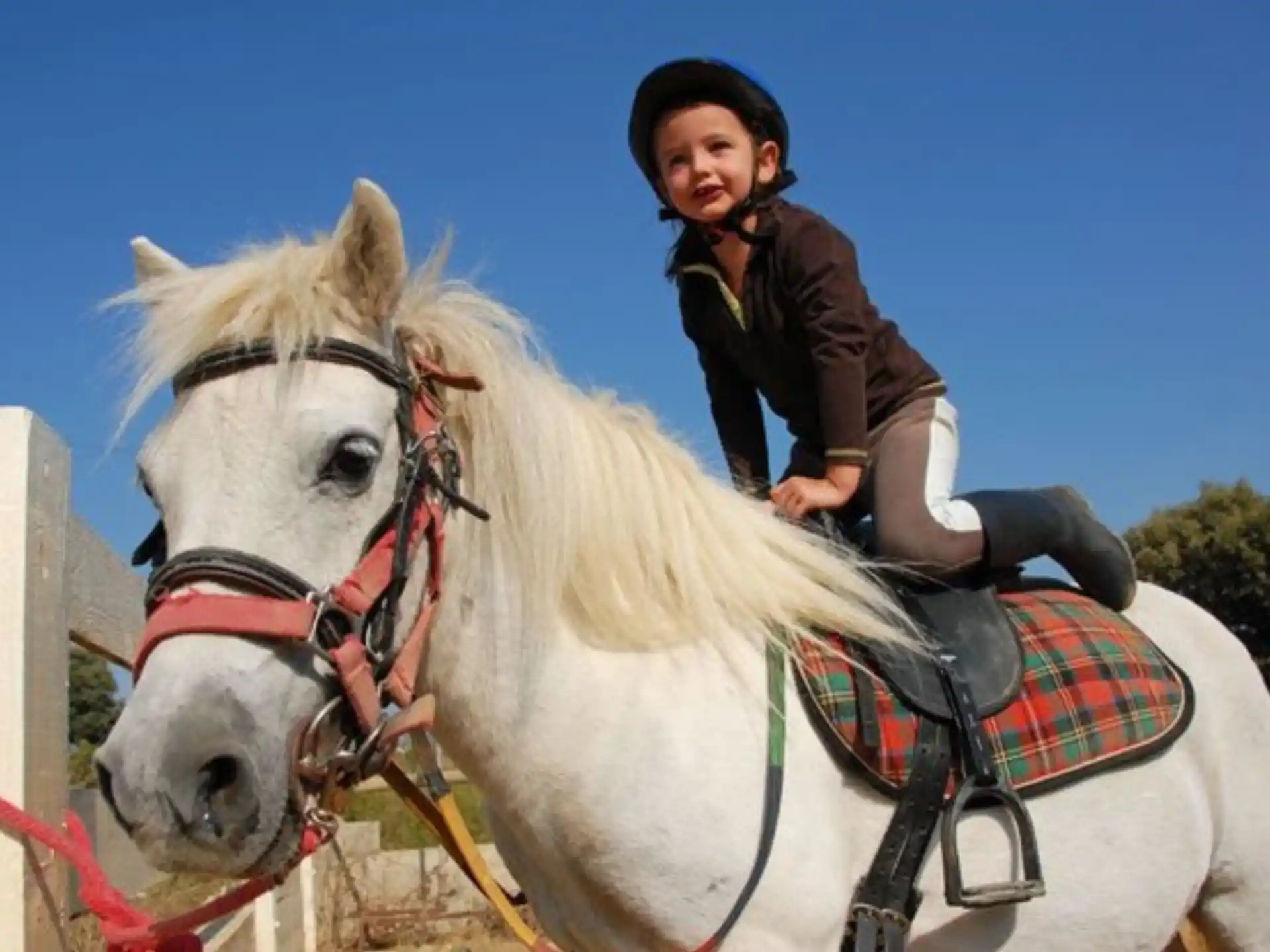 a girl riding a white horse