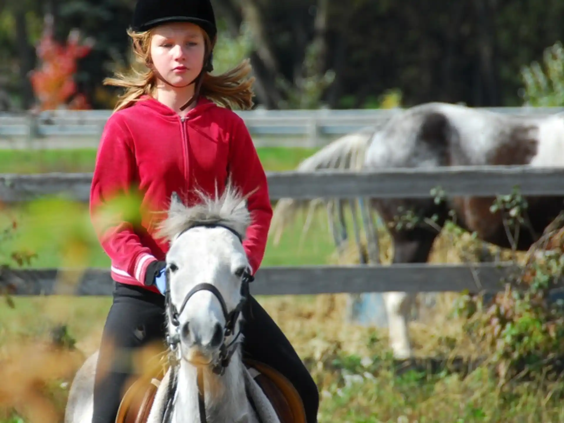 a person riding a horse