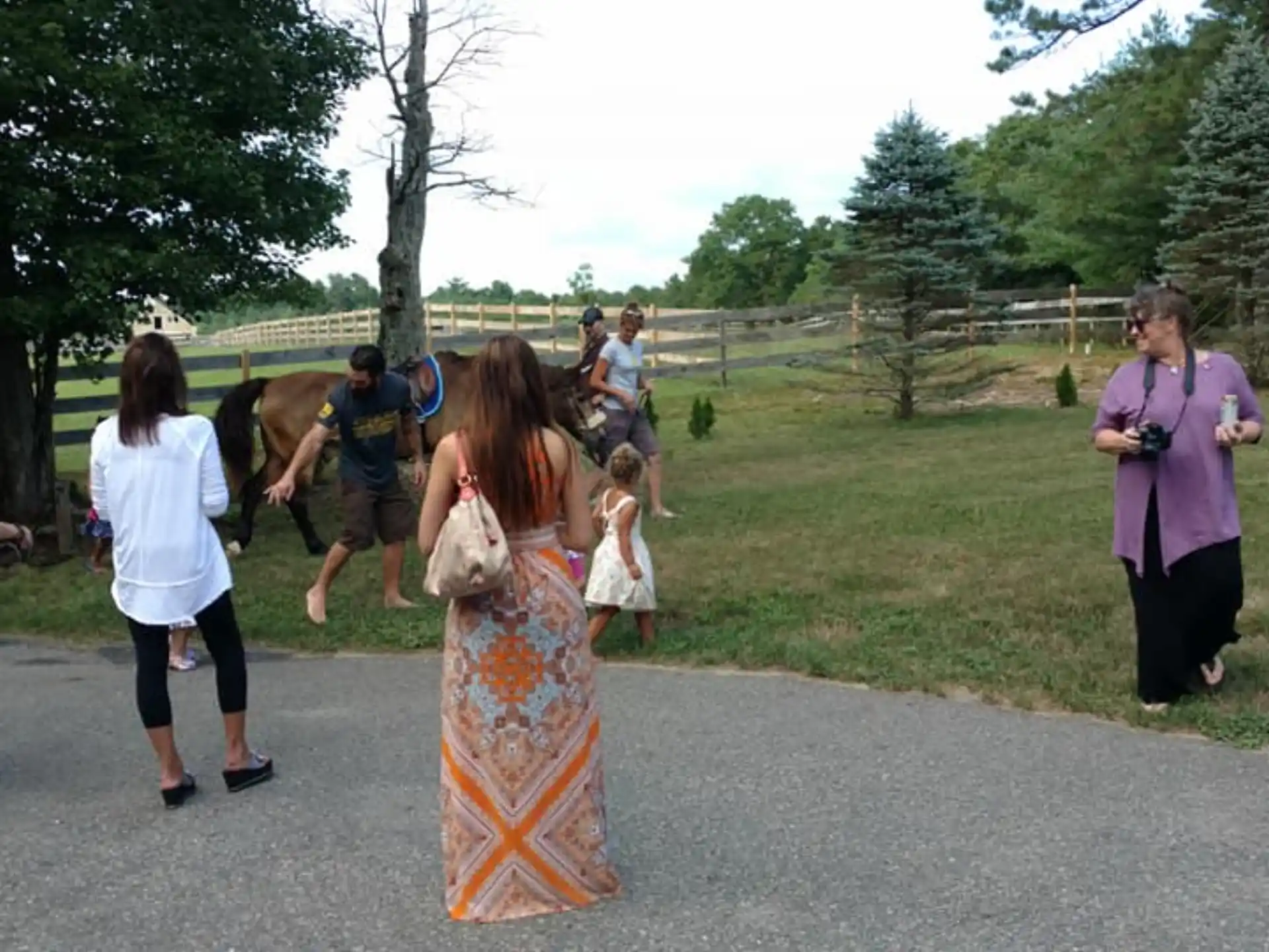 a group of people walking on a path