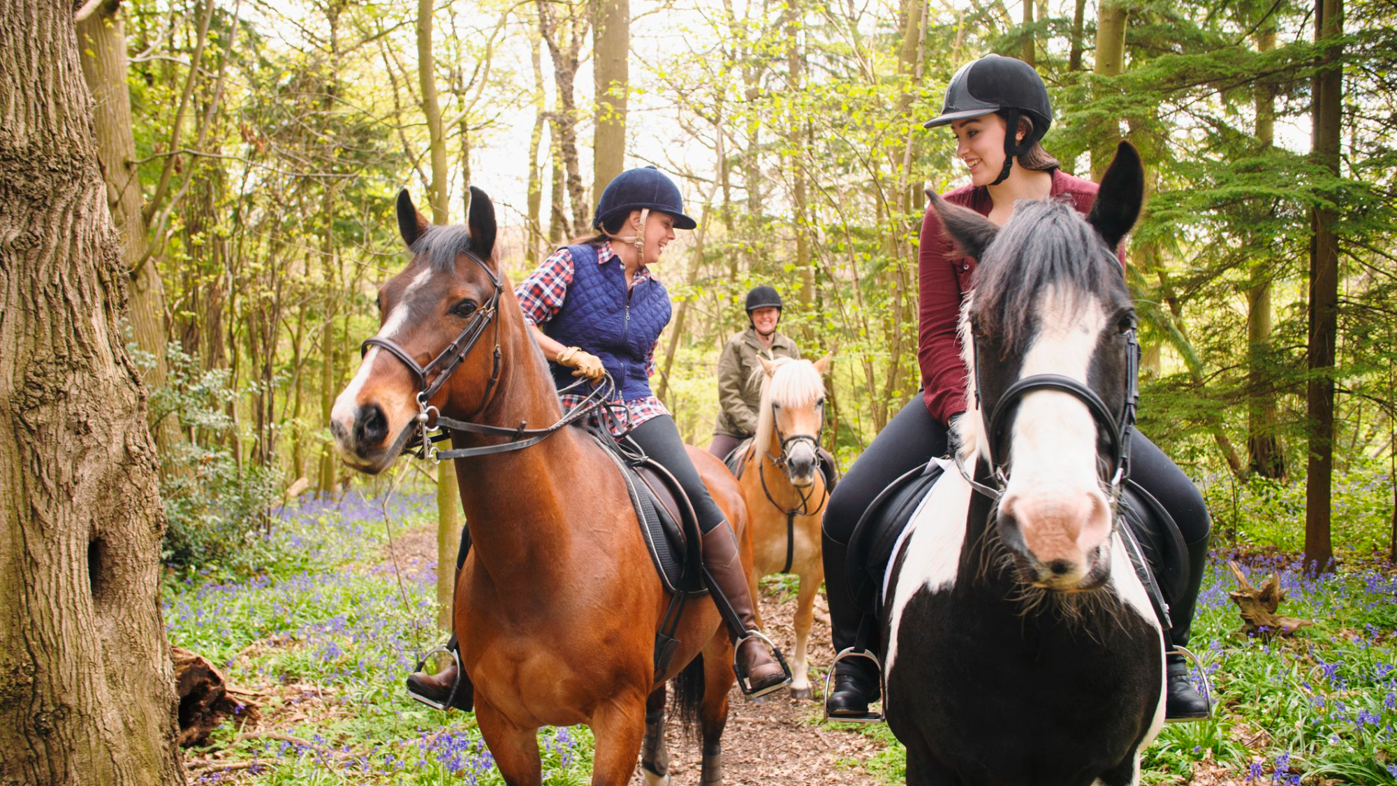 a group of people riding horses