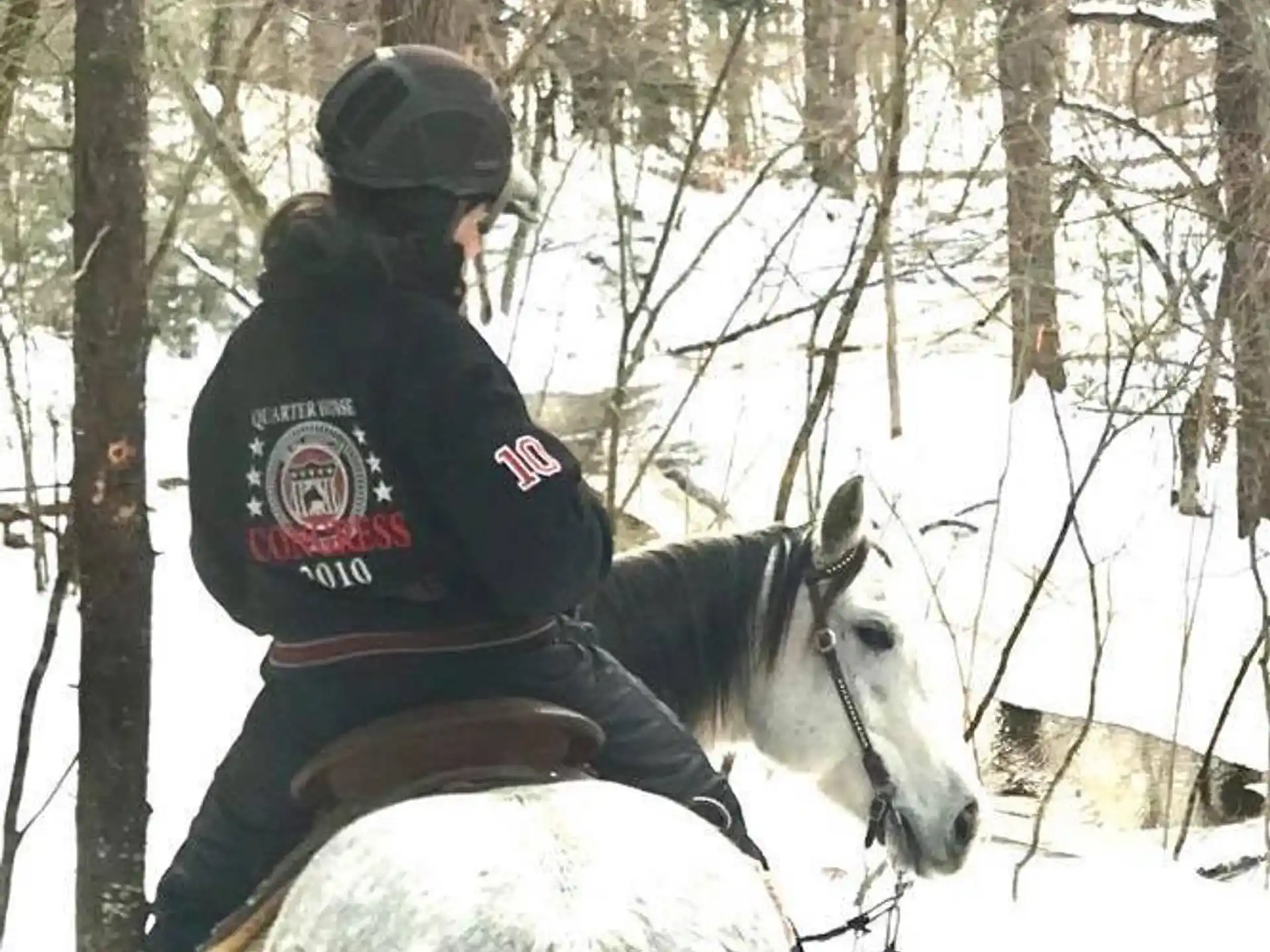 a man riding a horse in the snow
