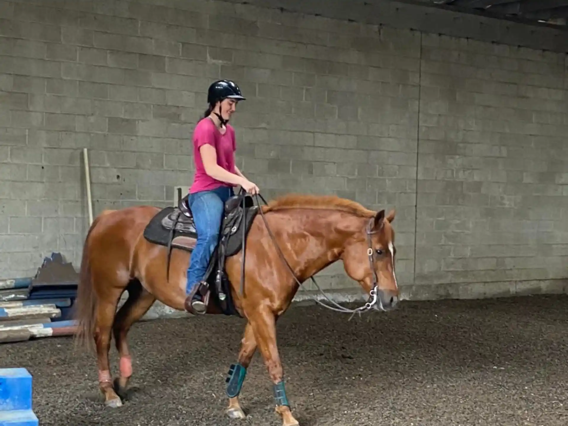 a person riding a horse